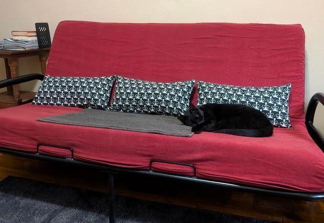 Milliard Full Size Futon Mattress, Light Grey, 71 x 52 x 6 Inch, Memory Foam Futon Mattress Full Size, CertiPUR-US, Comfy Sofa Bed, Couch, Removable Washable Hypoallergenic Cover, Frame Not Included customer photo 1