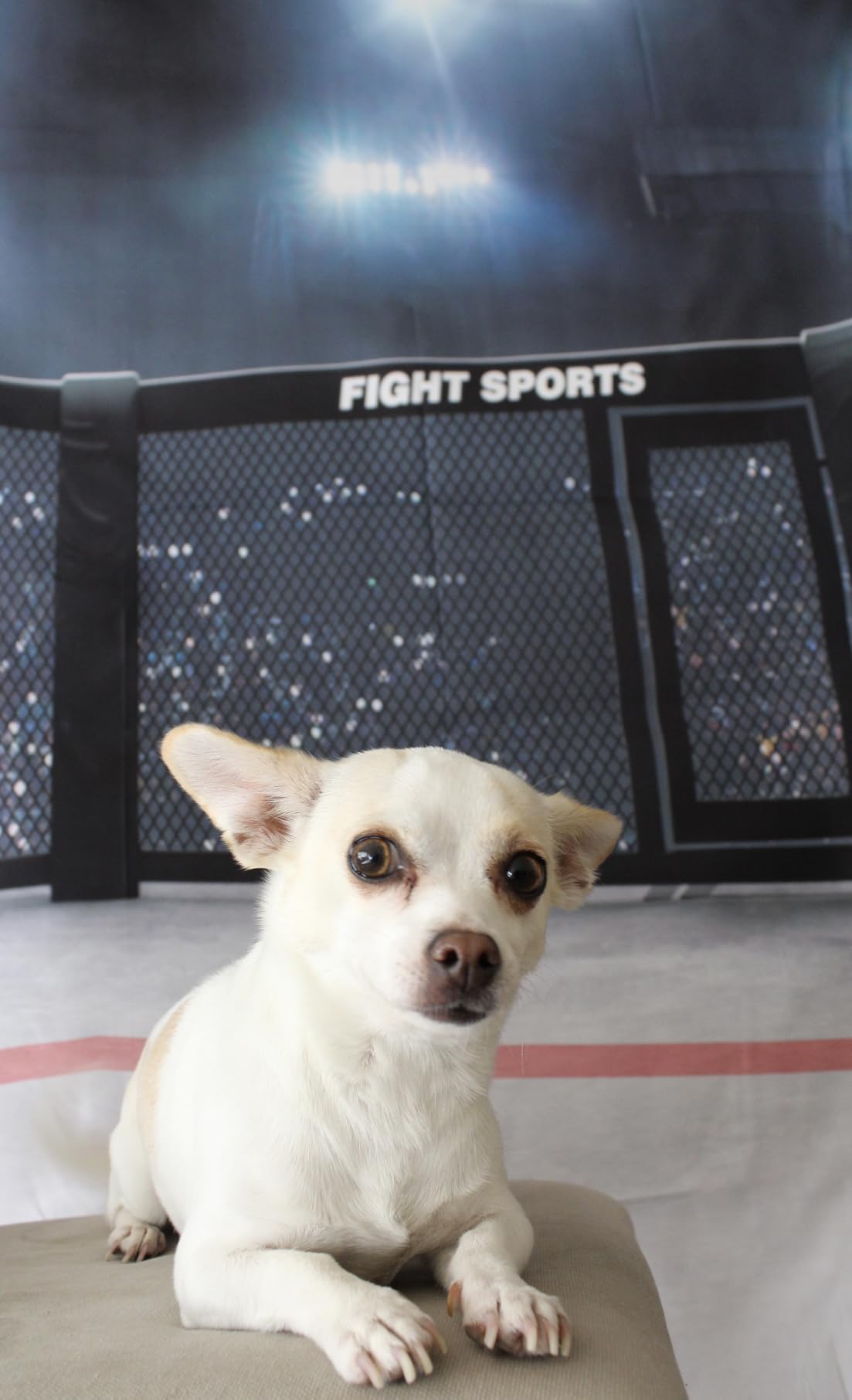 BELECO 5x3FT Fabric Boxing Backdrop Stadium Light 3D Arena Photo Backdrop Fight Sports Competition Ring Photography Background UFC Decor Baby Shower Birthday Party Boys Men Photo Props customer photo 2