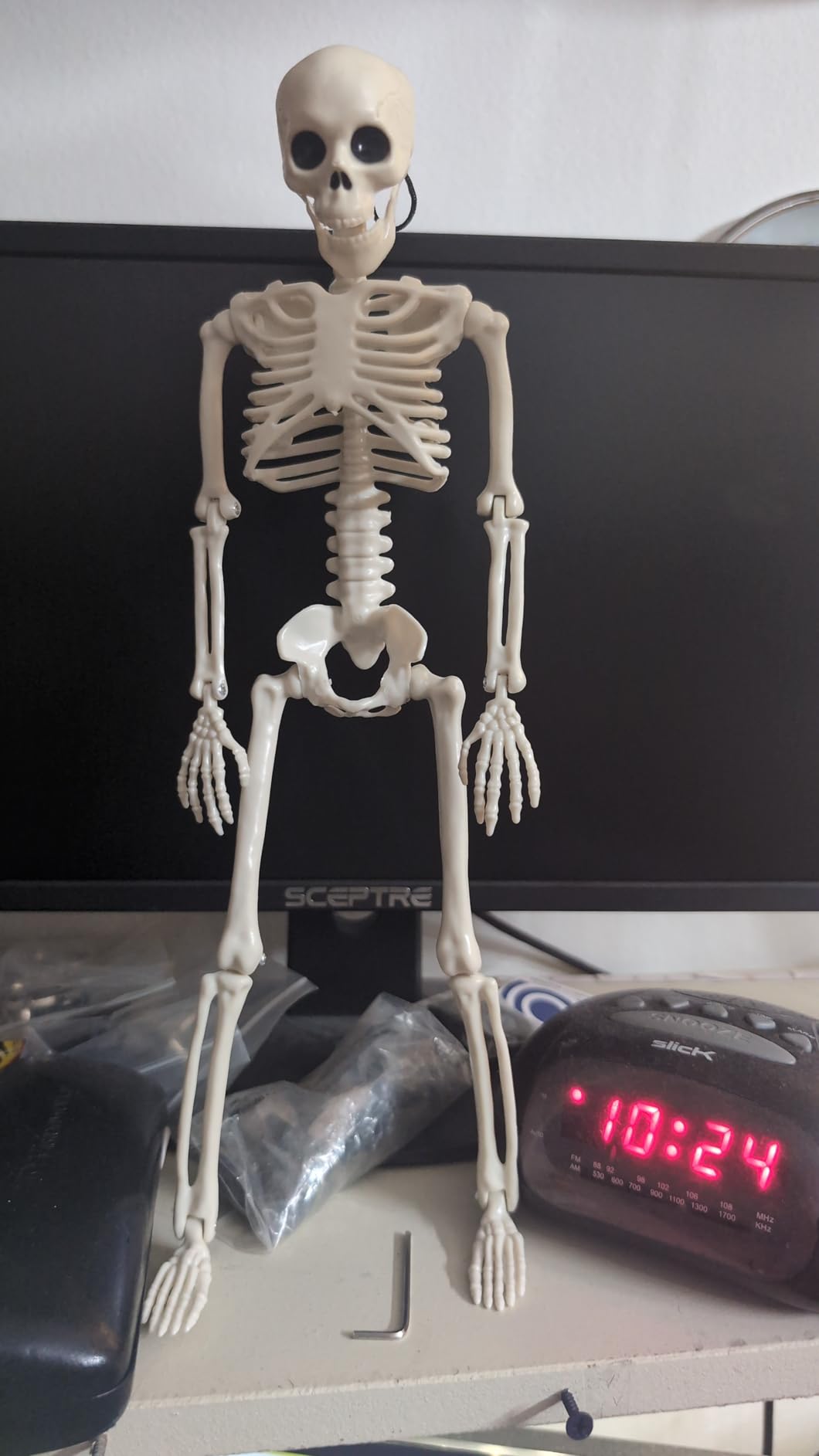 WODMAZ 5 Packs Halloween Skeletons, 16