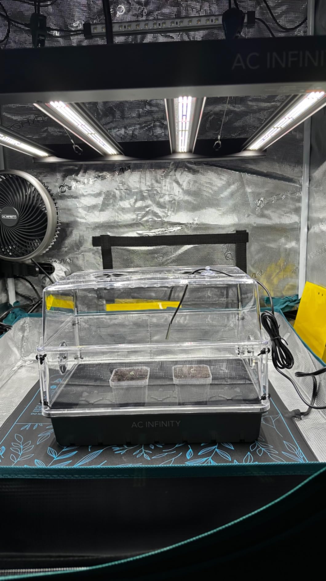 AC Infinity Humidity Dome, Heavy-Duty Germination Kit customer photo 1