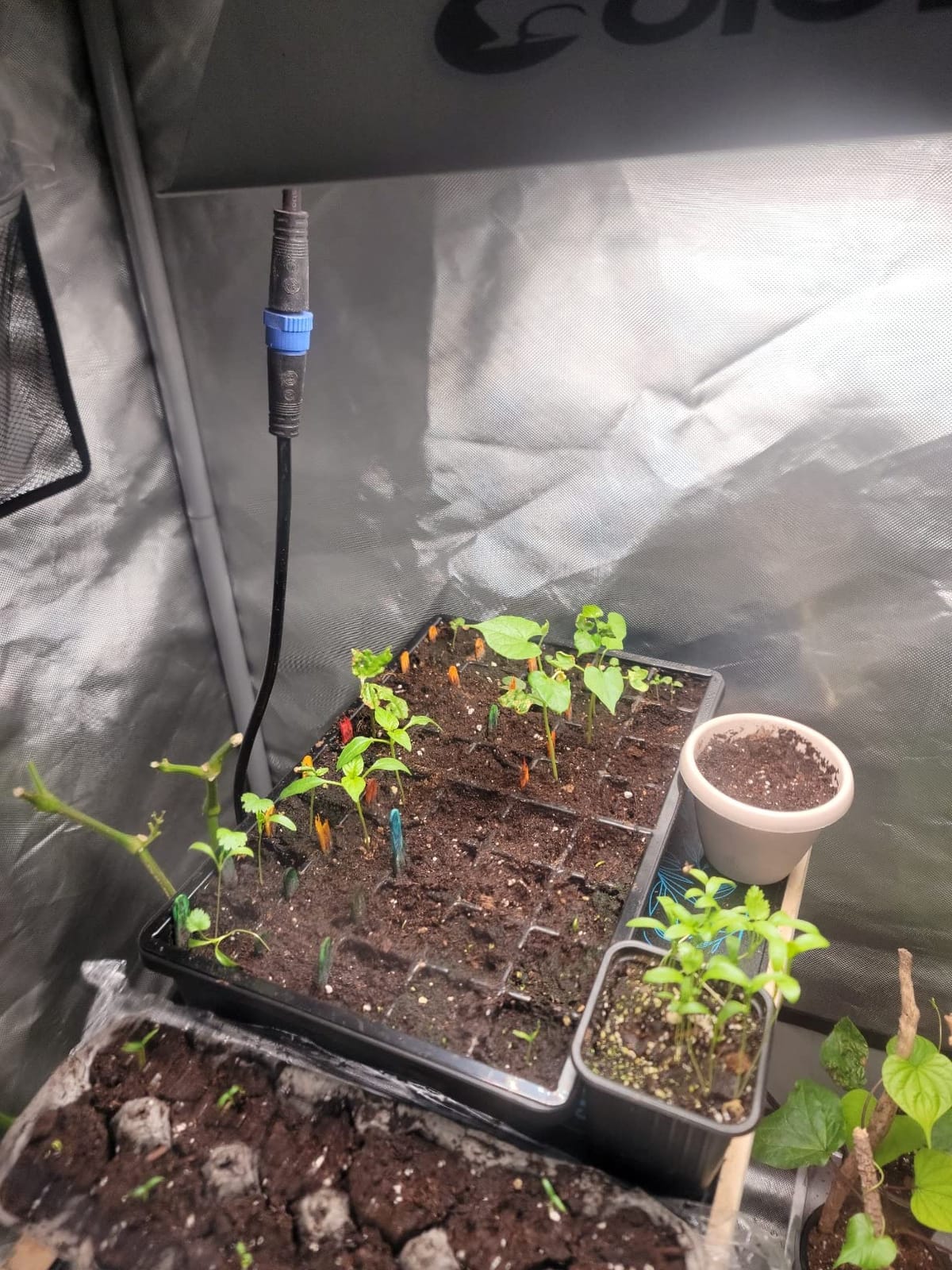 AC Infinity Humidity Dome, Heavy-Duty Germination Kit customer photo 2