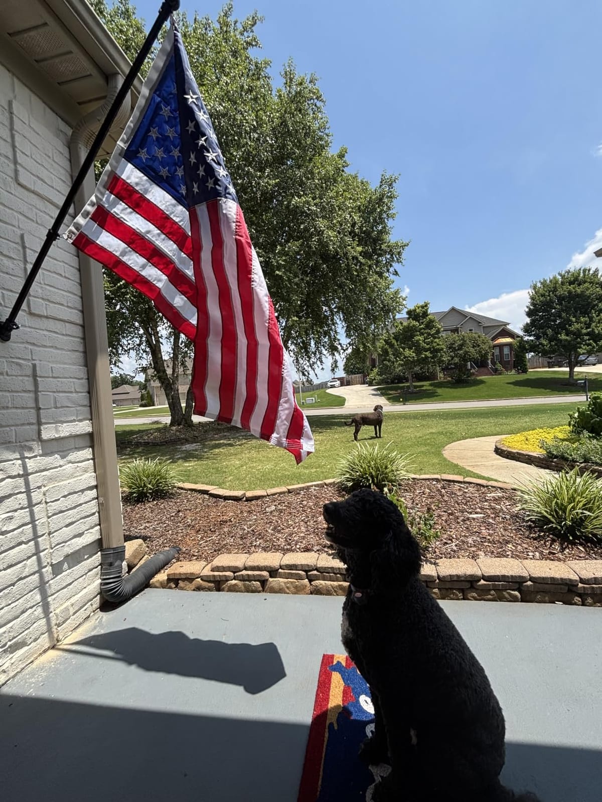 American Flag and Flag Pole for House Outside, 5ft Heavy Duty Flag Poles Kit with 3x5 Embroidered USA Flag, Tangle Free Steel Black Flag Pole with Bracket for Residential, Commercial, Outdoors Garden customer photo 2