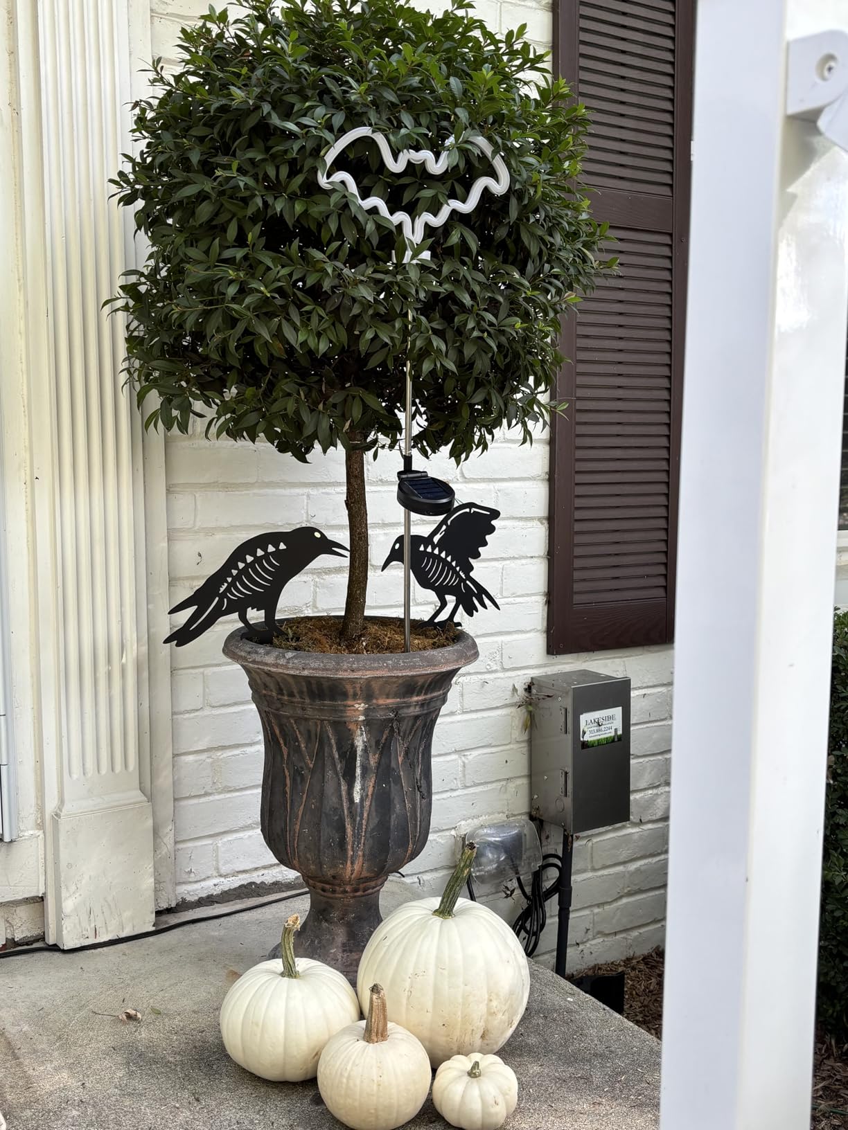 Metal Turkey Garden Stakes, Outdoor Thanksgiving Decorations Yard Art Decor | 2 Pack Rusty Turkey Garden Statues, Thanksgiving Fall Outdoor Decor for Lawn, Yard, Patio, Outside Ornaments customer photo 1
