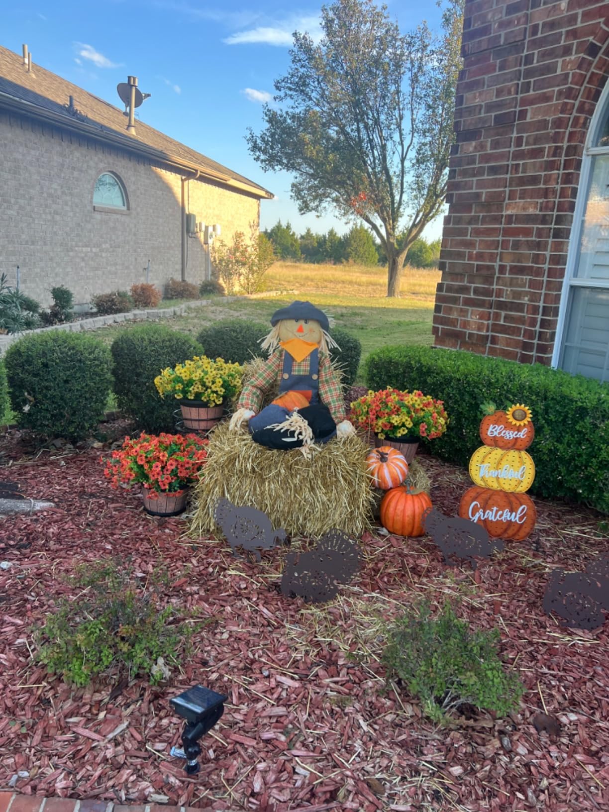 Metal Turkey Garden Stakes, Outdoor Thanksgiving Decorations Yard Art Decor | 2 Pack Rusty Turkey Garden Statues, Thanksgiving Fall Outdoor Decor for Lawn, Yard, Patio, Outside Ornaments customer photo 2