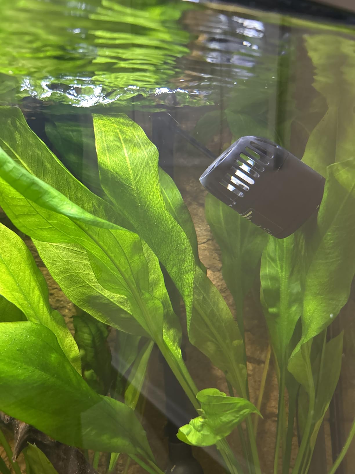 hygger Mini Wave Maker for 15-40 Gallon Aquarium with Magnetic Mount Quiet Powerhead for Saltwater and Freshwater Fish Tank 530 GPH customer photo 1
