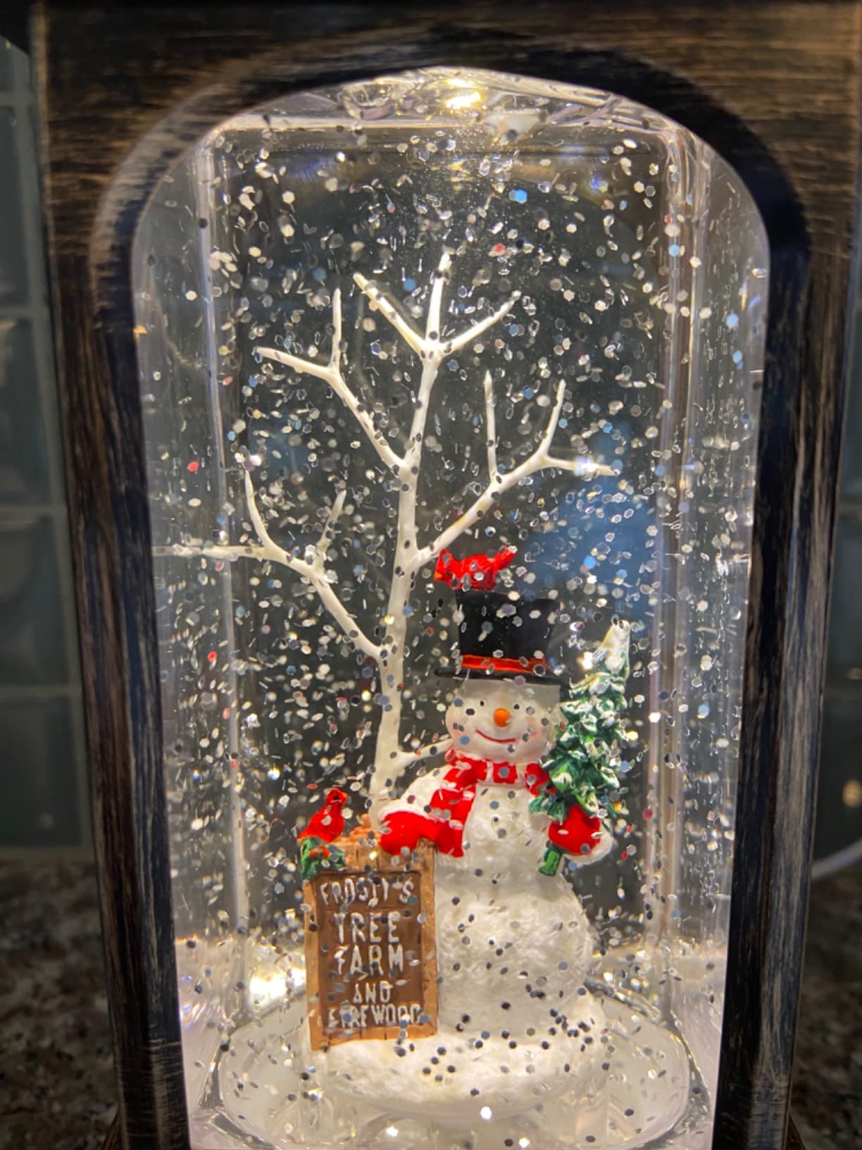 Christmas Snow Globe Lantern, Musical Snow Globe with Swirling Glitter, Battery Powered, Christmas Decorations Indoor for Home - Cardinal and Snowman customer photo 1