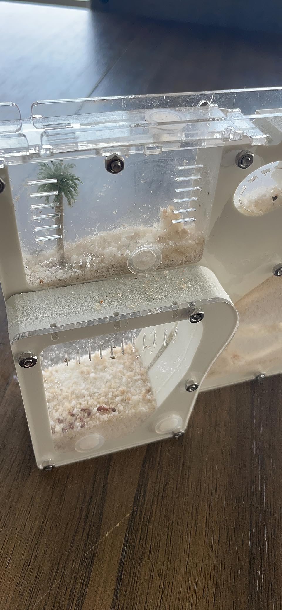 Ant Farm Kit for Kids, Large Ant Farm with Sand, Ant Colony Observation Kit customer photo 2