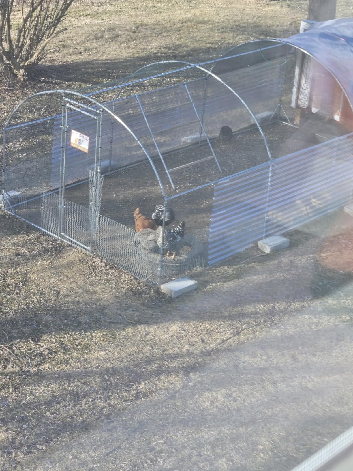 Large Metal Chicken Coop Round Top Upgrade Tri-Supporting Wire Mesh Chicken Run,Chicken Pen with Water-Resident and Anti-UV Cover,Duck Rabbit House Outdoor (13'L x 9'W x 6.5'H) customer photo 1