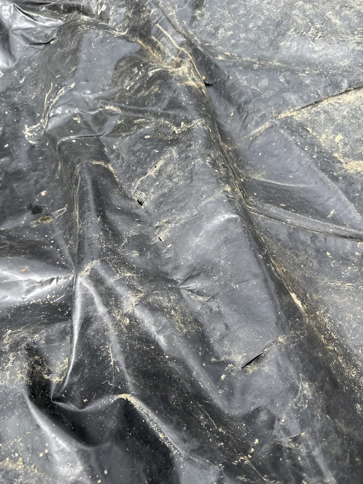 VIVOSUN 13.5 x 20 Feet Pond Liner for Koi Ponds, Aquaculture and Gardens customer photo 1
