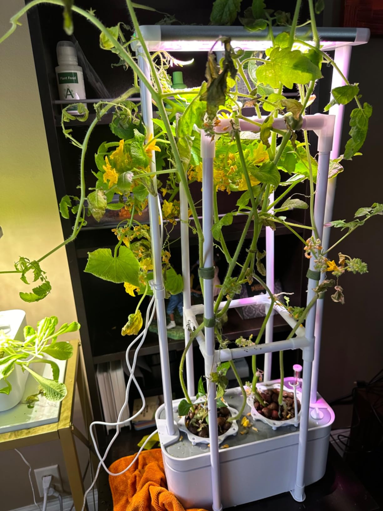 Tall Hydroponics Growing System kit with Height Adjustable Light & Trellis customer photo 1