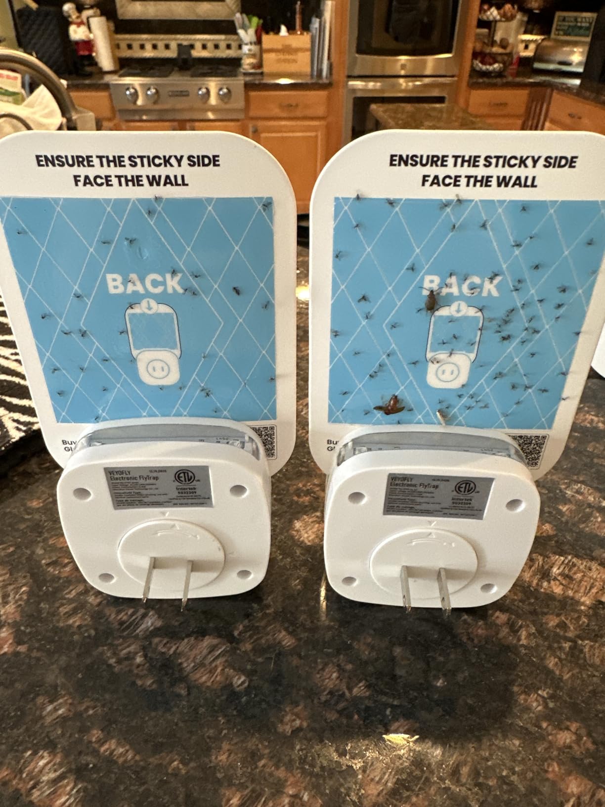 VEYOFLY Fruit Fly Traps Indoor Plug-in UV, Gnat Trap, 2 Device + 4 Refills customer photo 1