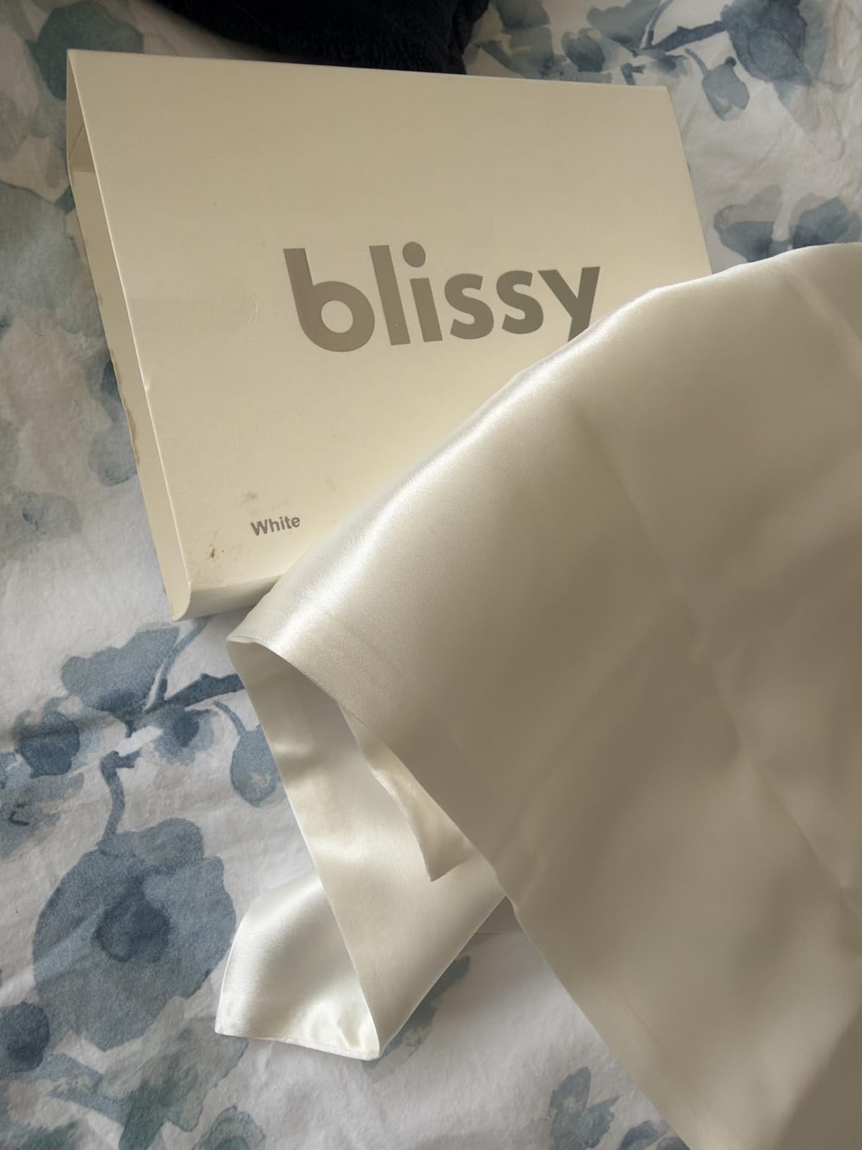 Blissy Silk Pillowcase - 100% Pure Mulberry Silk - 22 Momme 6A High-Grade Fibers - Silk Pillow Cover for Hair & Skin - Regular, Queen & King (Silver, Standard) customer photo 2