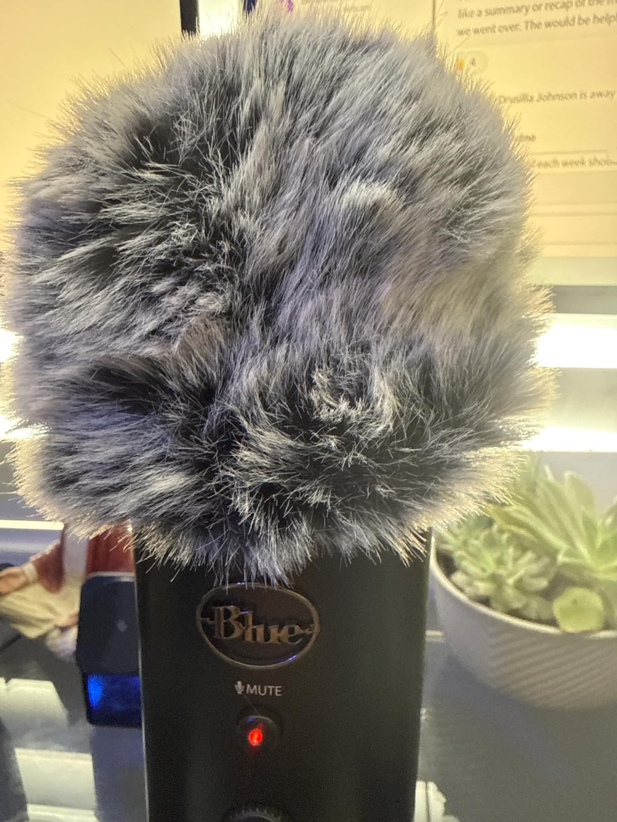 Blue Yeti Pop Filter Foam Windscreen - 5.5 Inch Diam 6 Layers Pop Filter for Mic Cover Yeti Pop Screen Compatible with Blue Yeti Microphone Professional Metal Pop Filter by YOUSHARES customer photo 2
