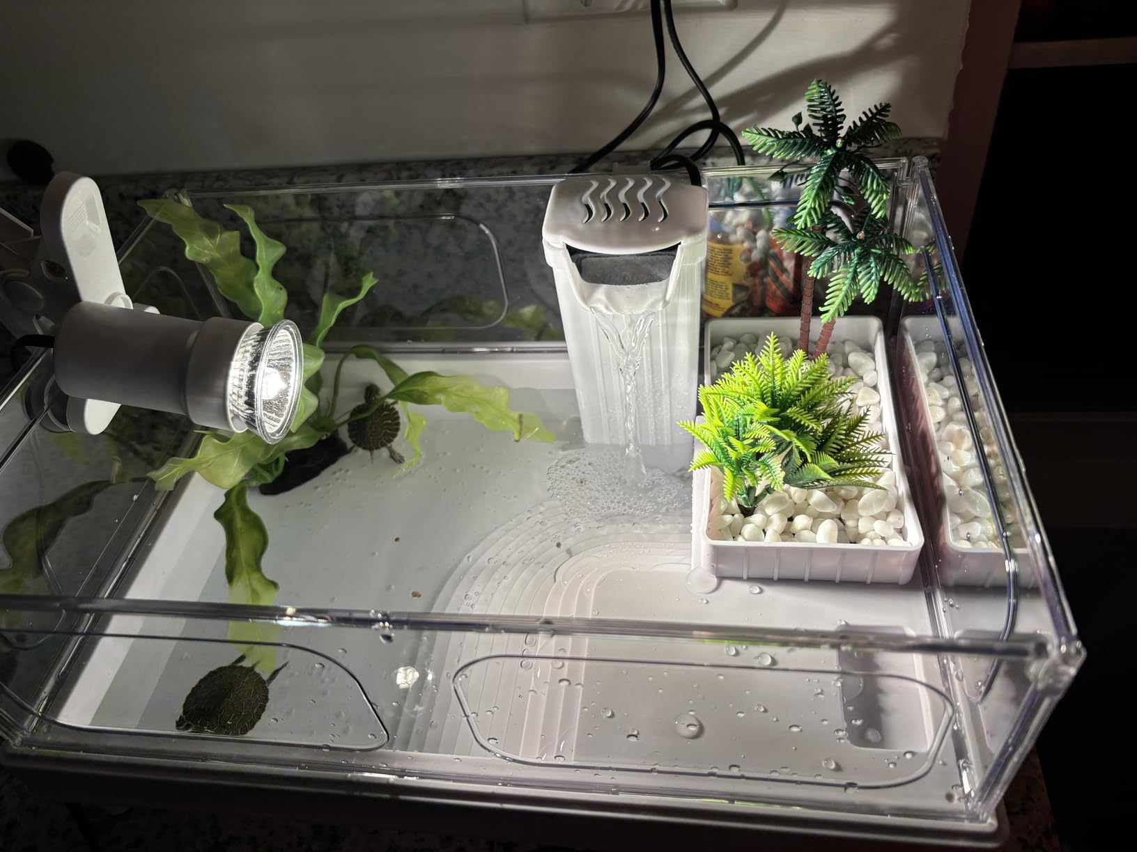 MoonOrange Small Turtle Tank Kit(Tank+Light+Filter), Acrylic Turtle Tank Starter Kit with Bask Platform, Bottom Drain, Multi-Function Area for Small Reptiles.(White) customer photo 1