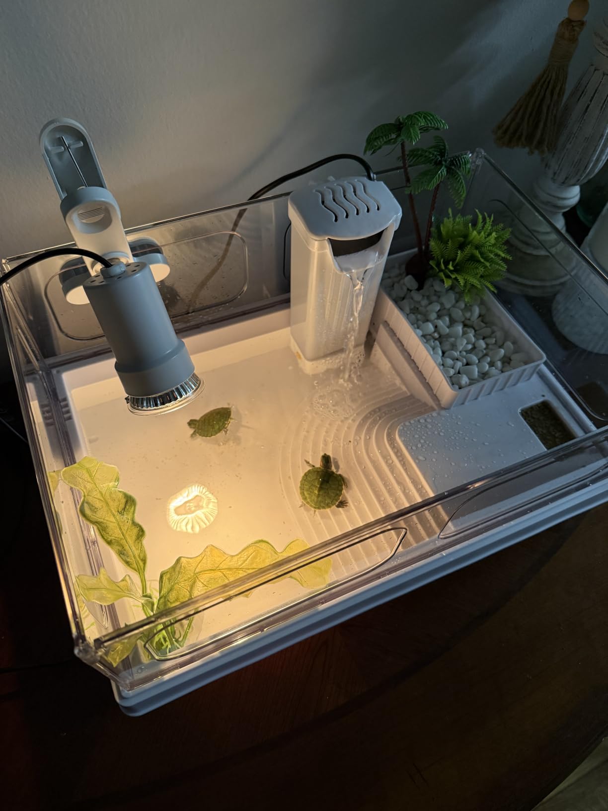 MoonOrange Small Turtle Tank Kit(Tank+Light+Filter), Acrylic Turtle Tank Starter Kit with Bask Platform, Bottom Drain, Multi-Function Area for Small Reptiles.(White) customer photo 2