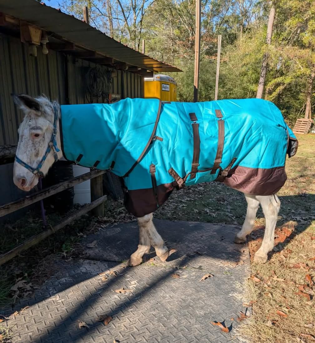 HILASON 1200D Waterproof Winter Horse Turnout Blanket Black 84 customer photo 2