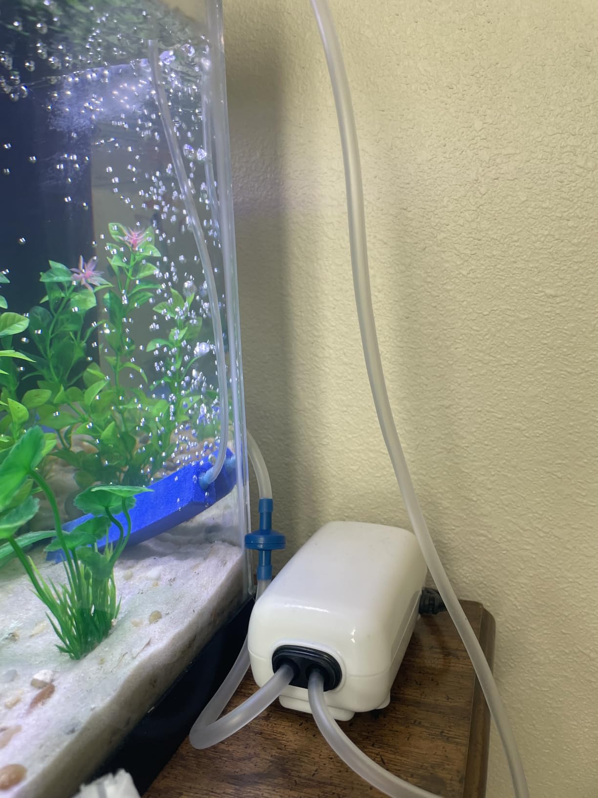 AQUANEAT Aquarium Air Pump for 20-210 Gallon Tank, Fish Air Bubbler, Hydroponic Oxygen Aerator with Stones, Airline Tubing, Check Valves customer photo 1