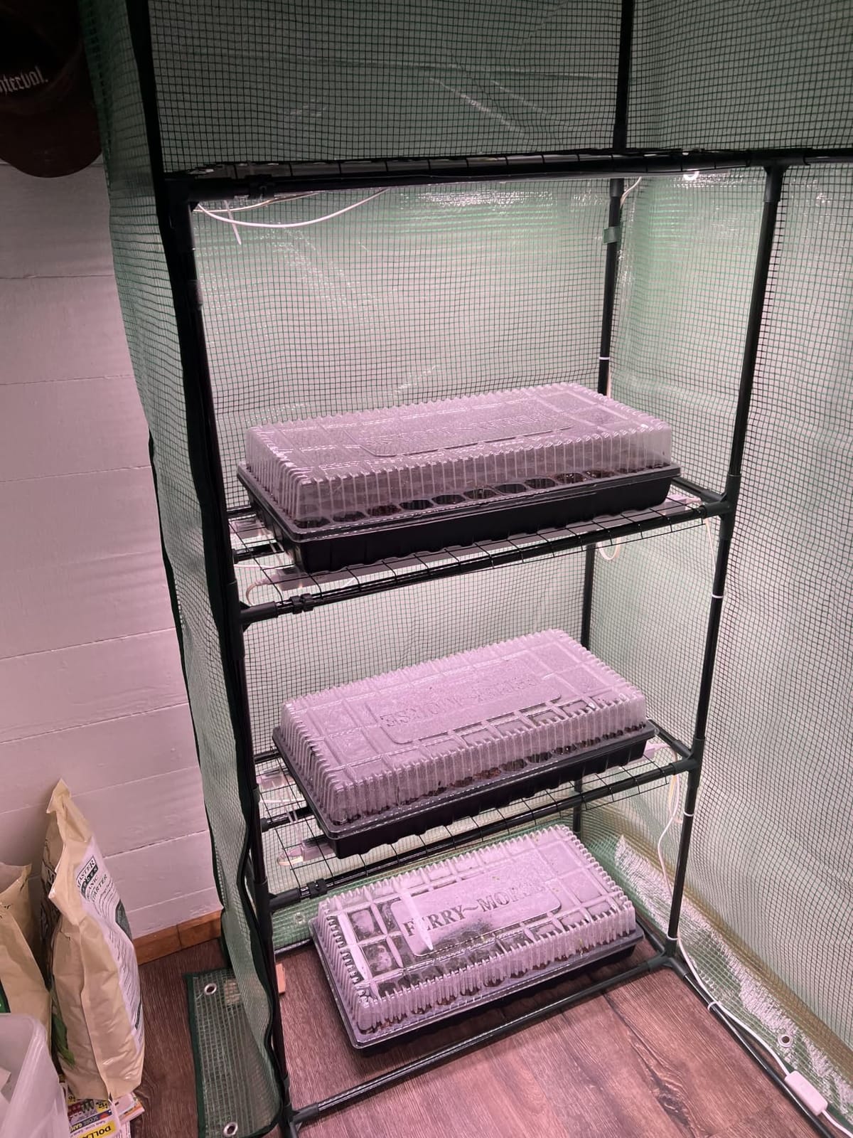 Barrina T5 Grow Lights for Indoor Plants, 5000K Full Spectrum, 1FT, 4 Packs customer photo 1