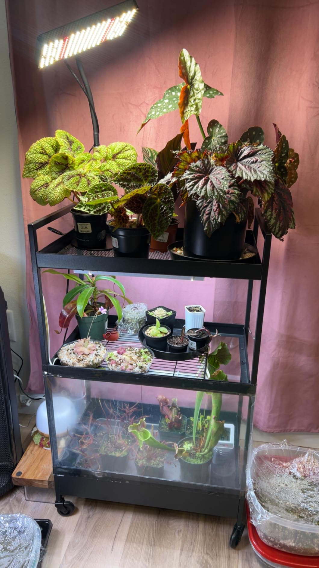 Barrina T5 Grow Lights for Indoor Plants, 5000K Full Spectrum, 1FT, 4 Packs customer photo 2