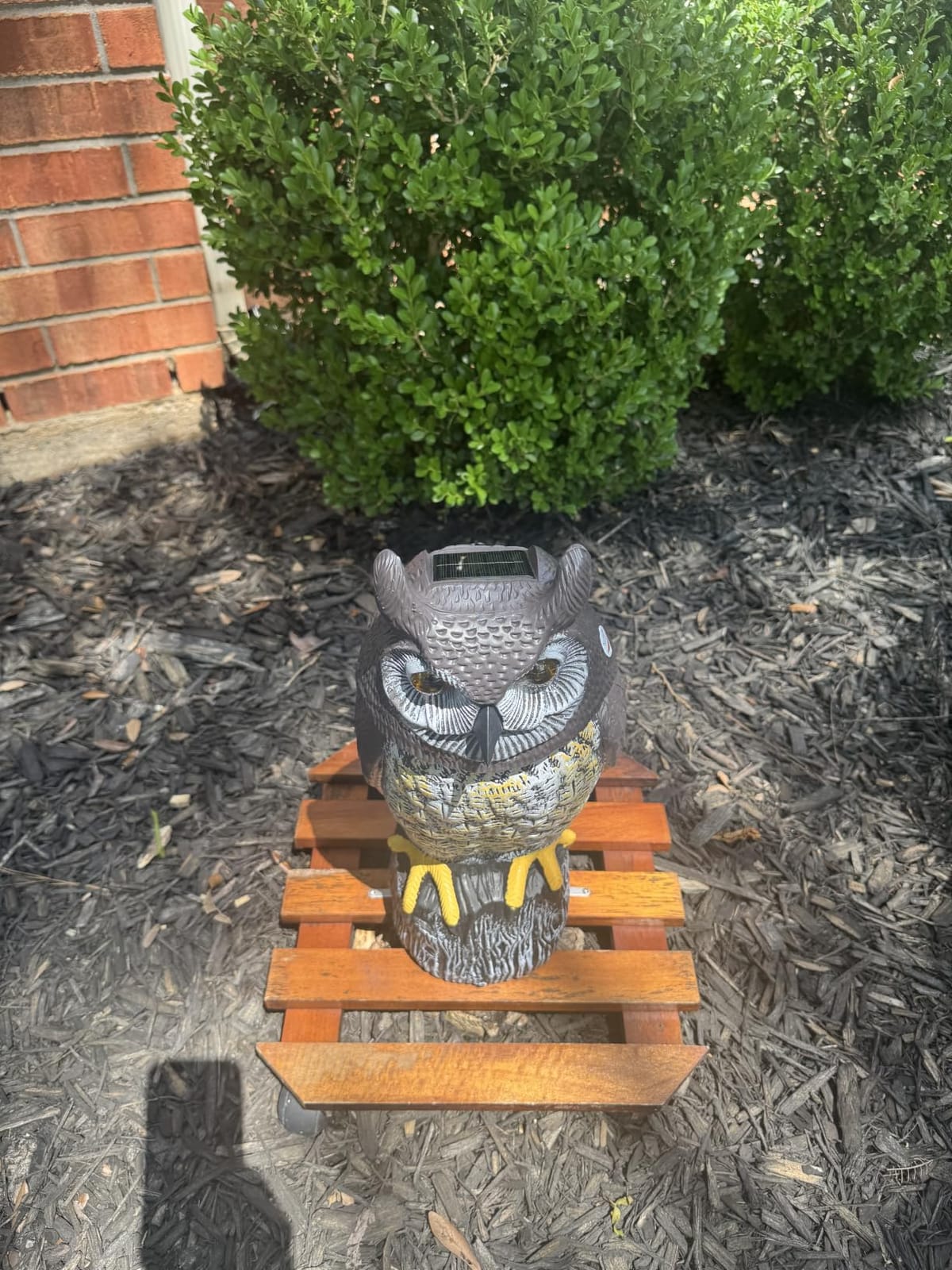 Owlsome Solar Owl with Glowing Eyes, Rotating Head, Hoot Sound, Motion Detector and Silent Mode, Plastic Owl Garden Sculpture, Garden Decoration customer photo 1