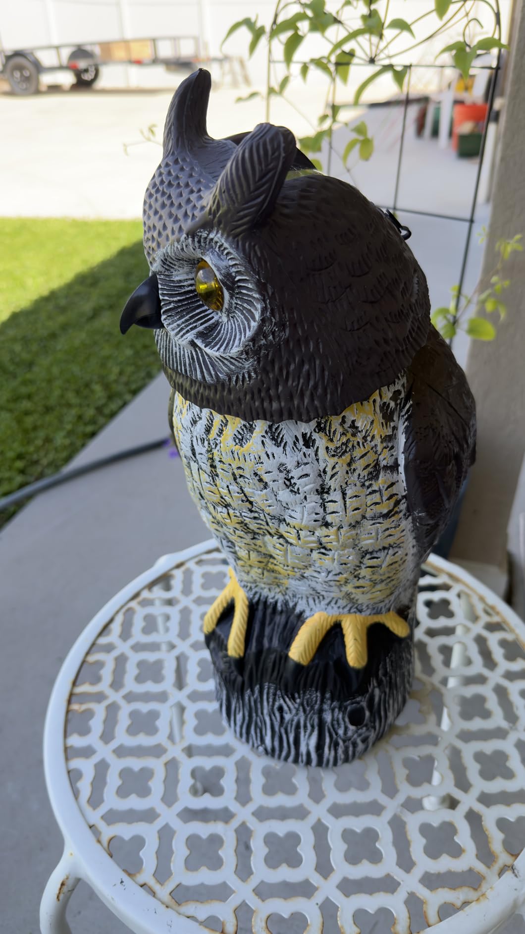Owlsome Solar Owl with Glowing Eyes, Rotating Head, Hoot Sound, Motion Detector and Silent Mode, Plastic Owl Garden Sculpture, Garden Decoration customer photo 2