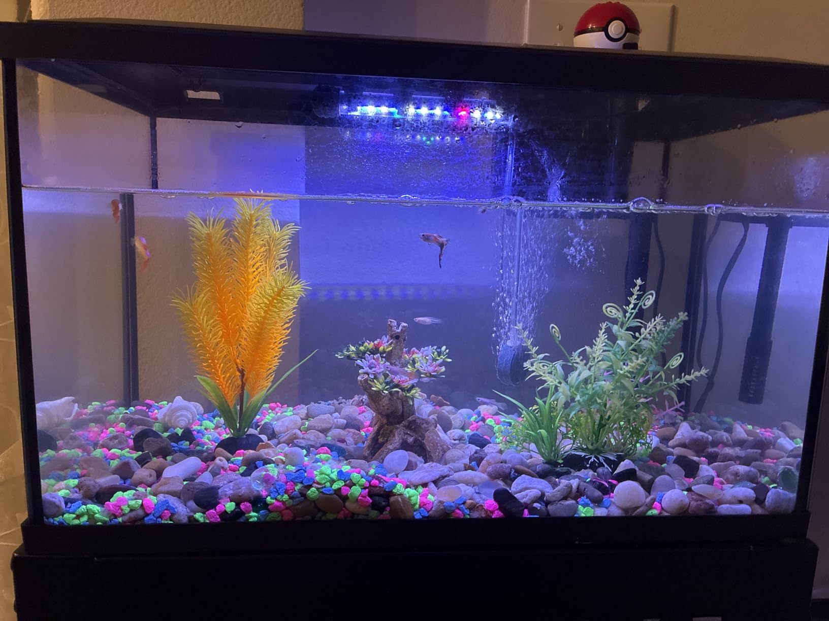 SEAOURA Submersible Led Aquarium Light for Fish Tank with Timer, 11 Inch customer photo 1