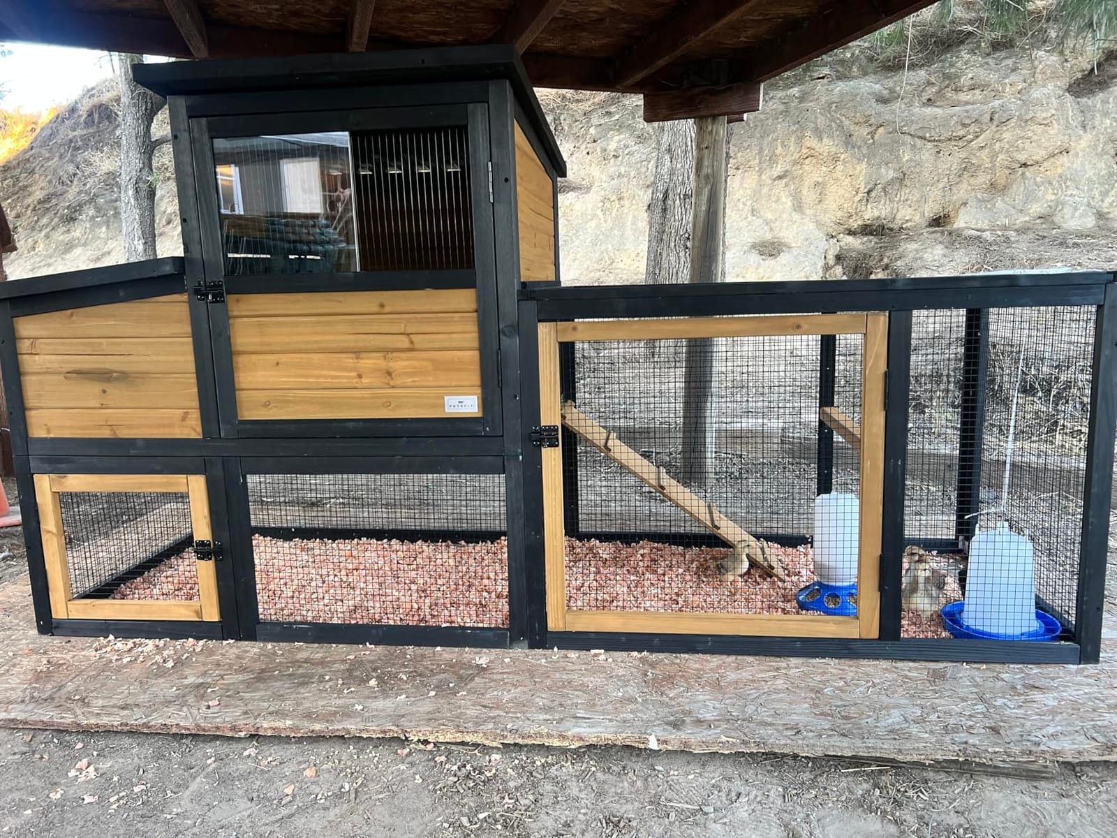 Petsfit Large Chicken Coop with Upgraded Perches, Wooden Outdoor Chicken Cage with Large Nesting Box, Weatherproof Open Asphalt Roof &Removable Bottom, Duck House, Rabbit Hutch customer photo 2