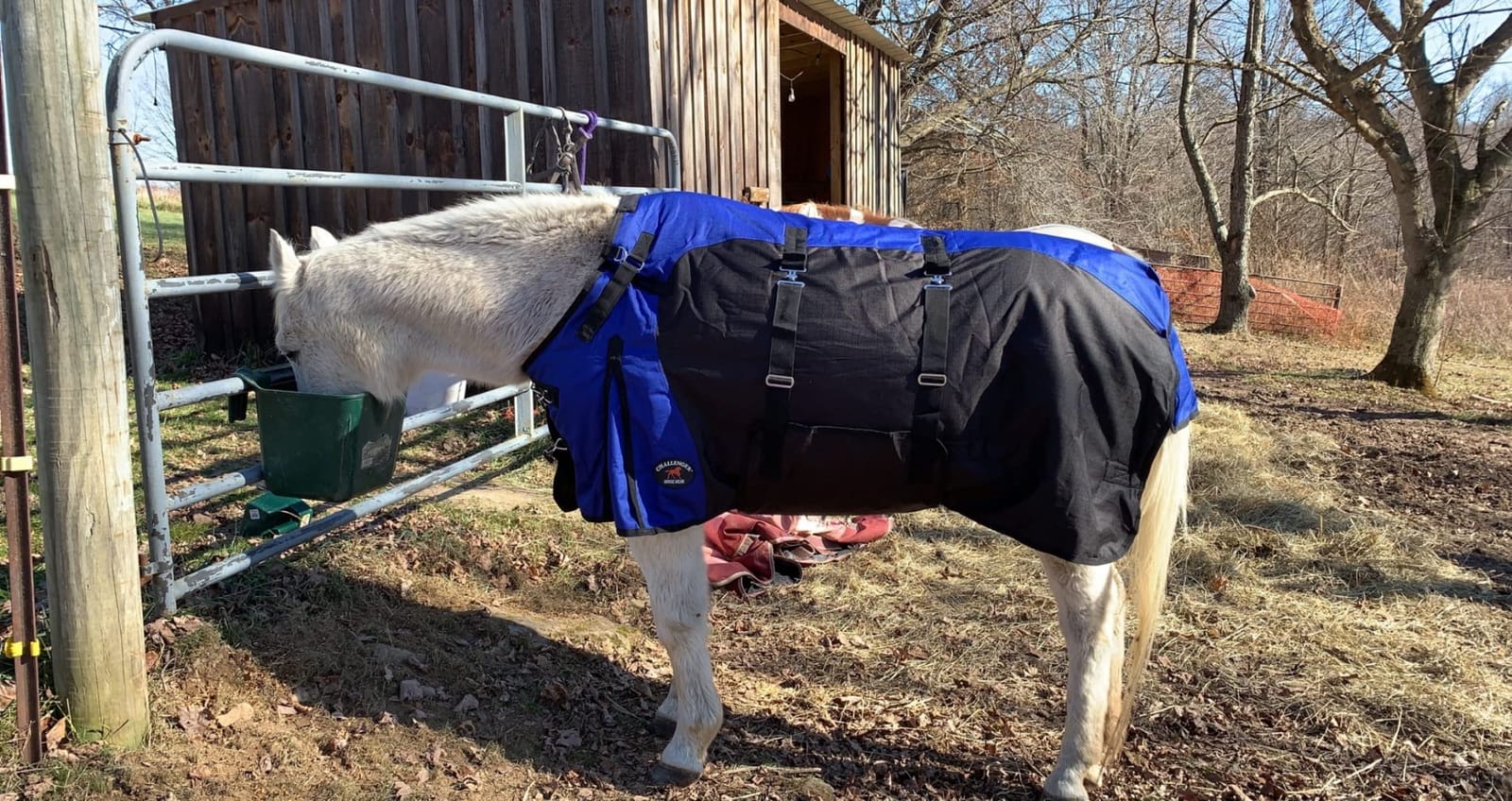 1200D Horse Turnout Blanket Waterproof, Breathable, Heavy-Weight Winter Blanket with 300g Fill, Ripstop Outer Shell customer photo 1