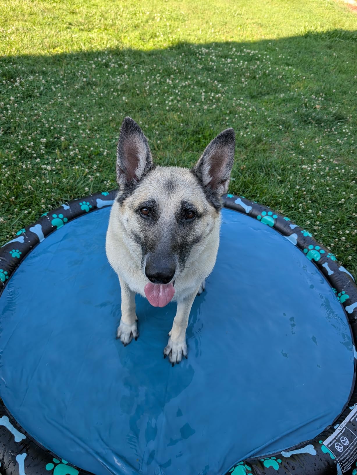 SplashEZ Non Slip Splash Pad for Kids & Dogs, 69’’ Extra Large Splash Pad Sprinkler for Kids, Dog Water Summer Toys - Great Outdoor Toys for Toddlers 1-3 & Children Ages 4-8, Baby Pool for Backyard customer photo 1