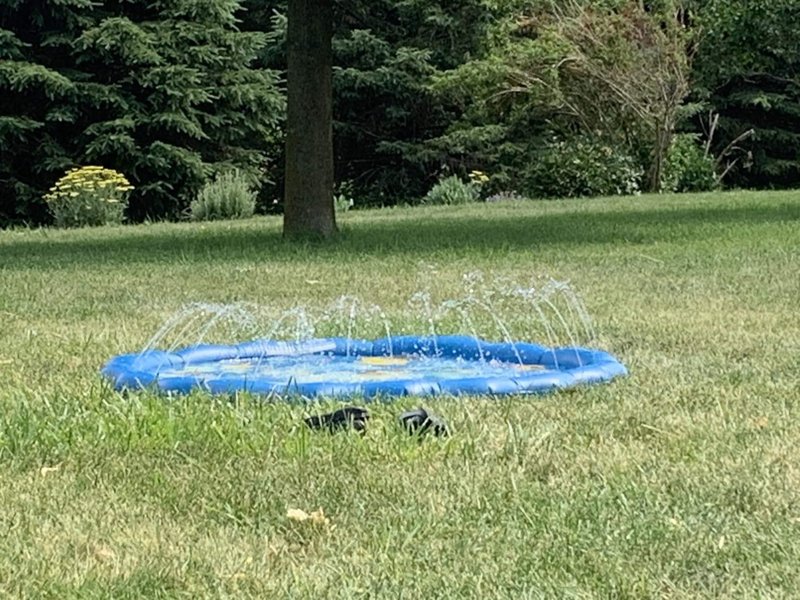 SplashEZ Non Slip Splash Pad for Kids & Dogs, 69’’ Extra Large Splash Pad Sprinkler for Kids, Dog Water Summer Toys - Great Outdoor Toys for Toddlers 1-3 & Children Ages 4-8, Baby Pool for Backyard customer photo 2