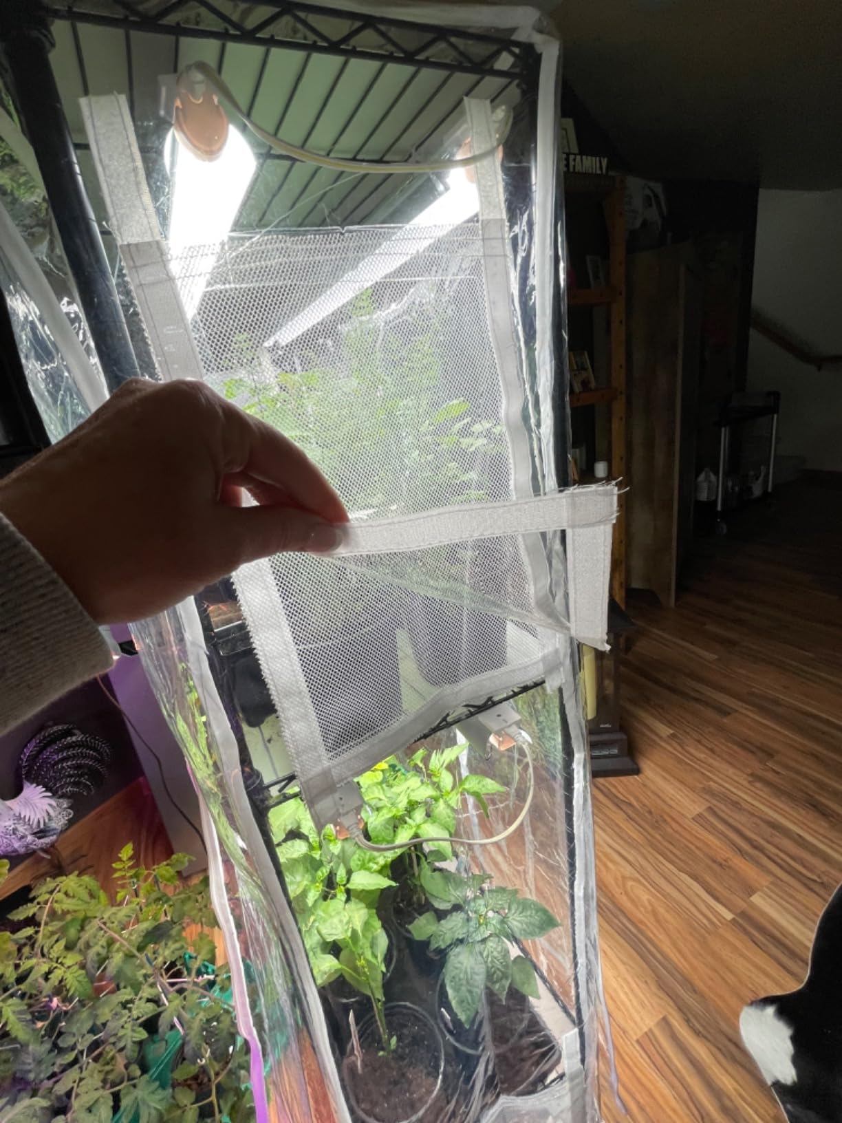 Barrina CX5Z Indoor Greenhouse with Grow Light, 180W, 4-Tier 35.4x13.8x59IN customer photo 2
