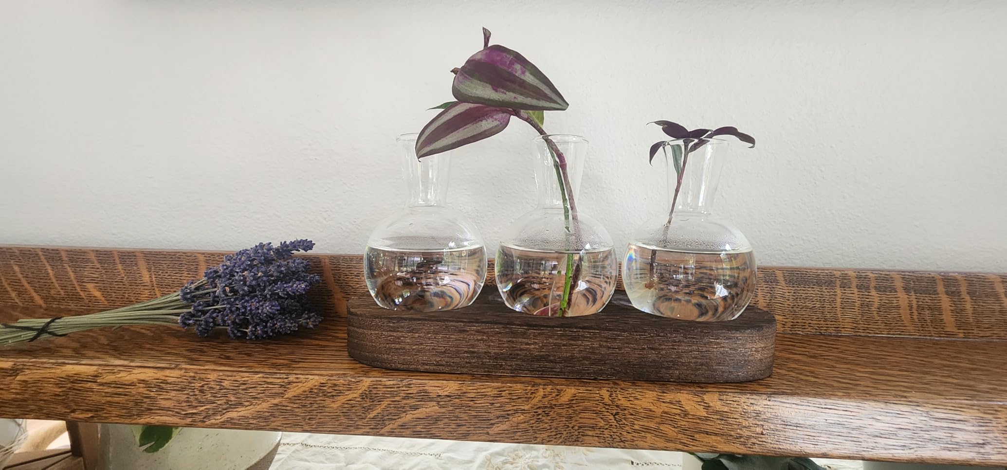 Mkono Plant Propagation Station, Desktop Glass 5 Bulb Vase Brown Wood Tray customer photo 2