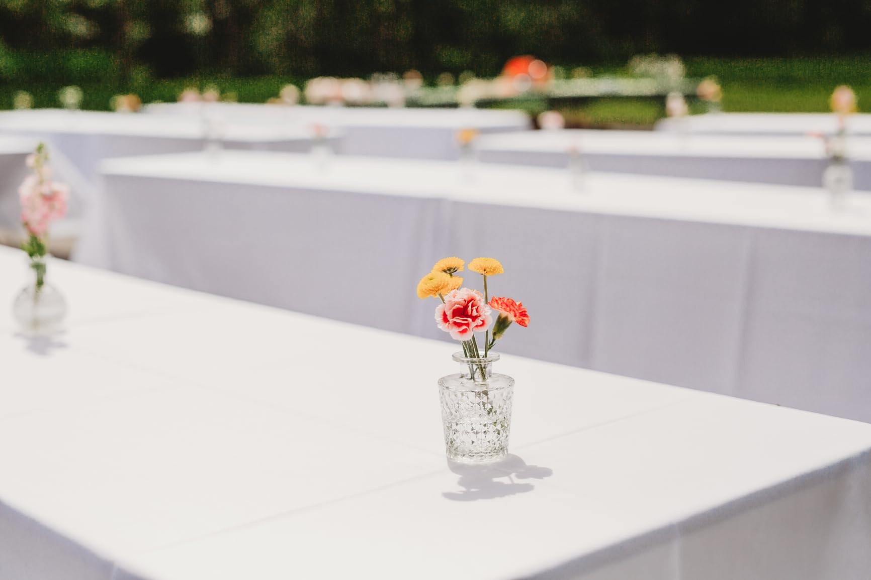 Arme Glass Bud vases in Bulk,Small Glass Flower Vase for Centerpieces 16Pcs customer photo 1
