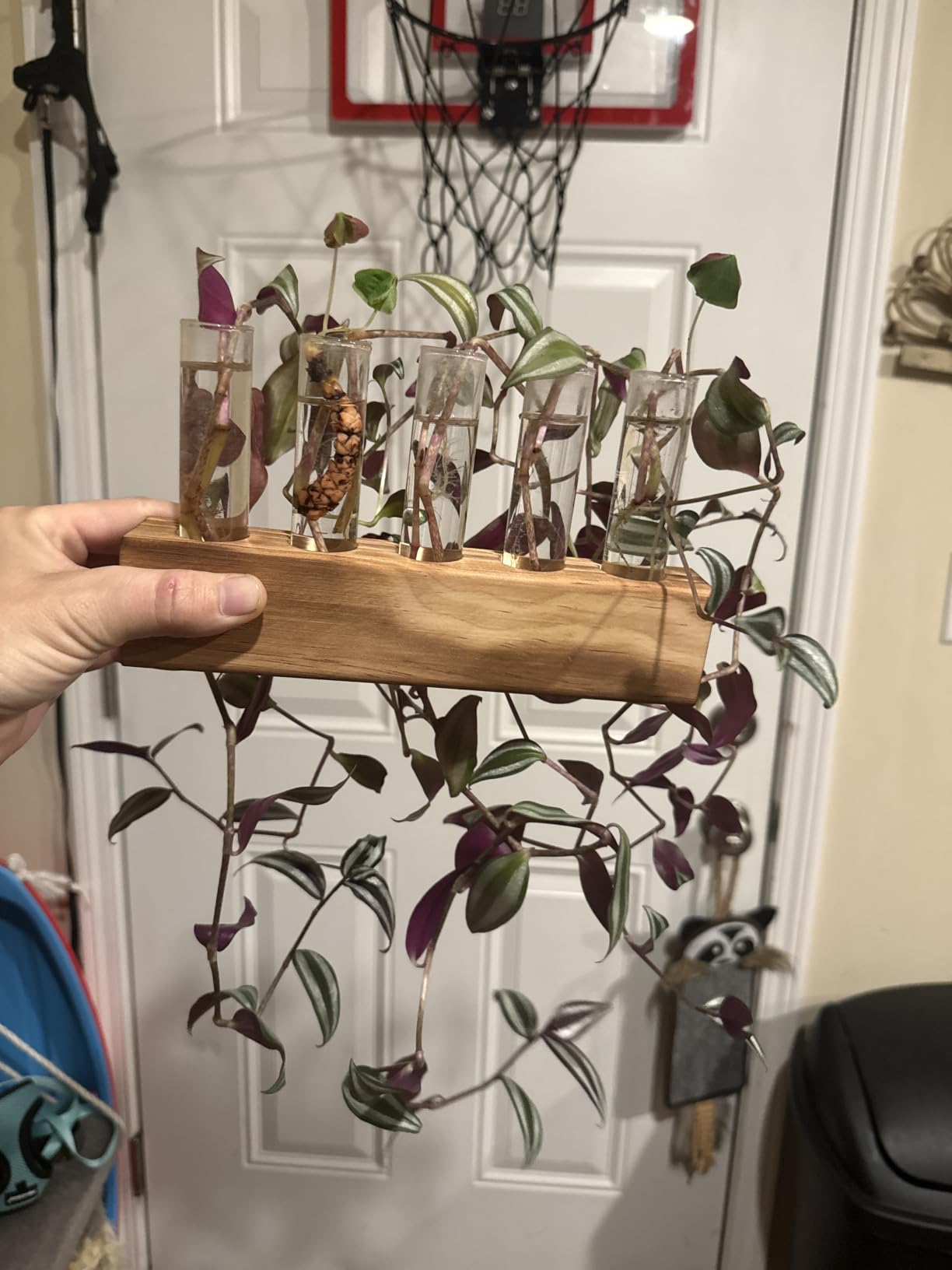 YIBOT Plant Propagation Station, Plant Terrarium with Wooden Stand customer photo 2