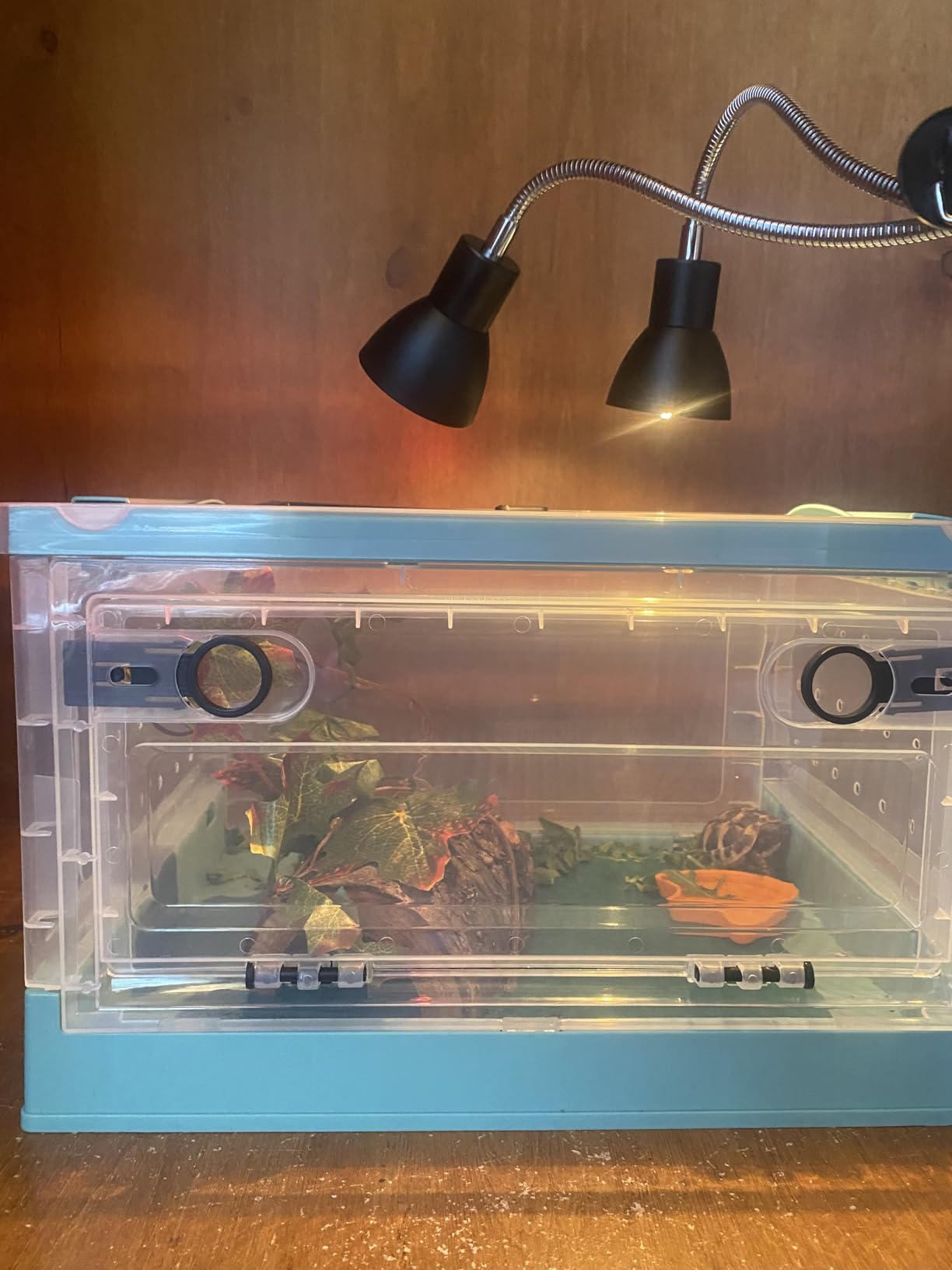 RunDuck Portable Foldable Terrarium Kit with Wheels for Reptiles Large customer photo 2