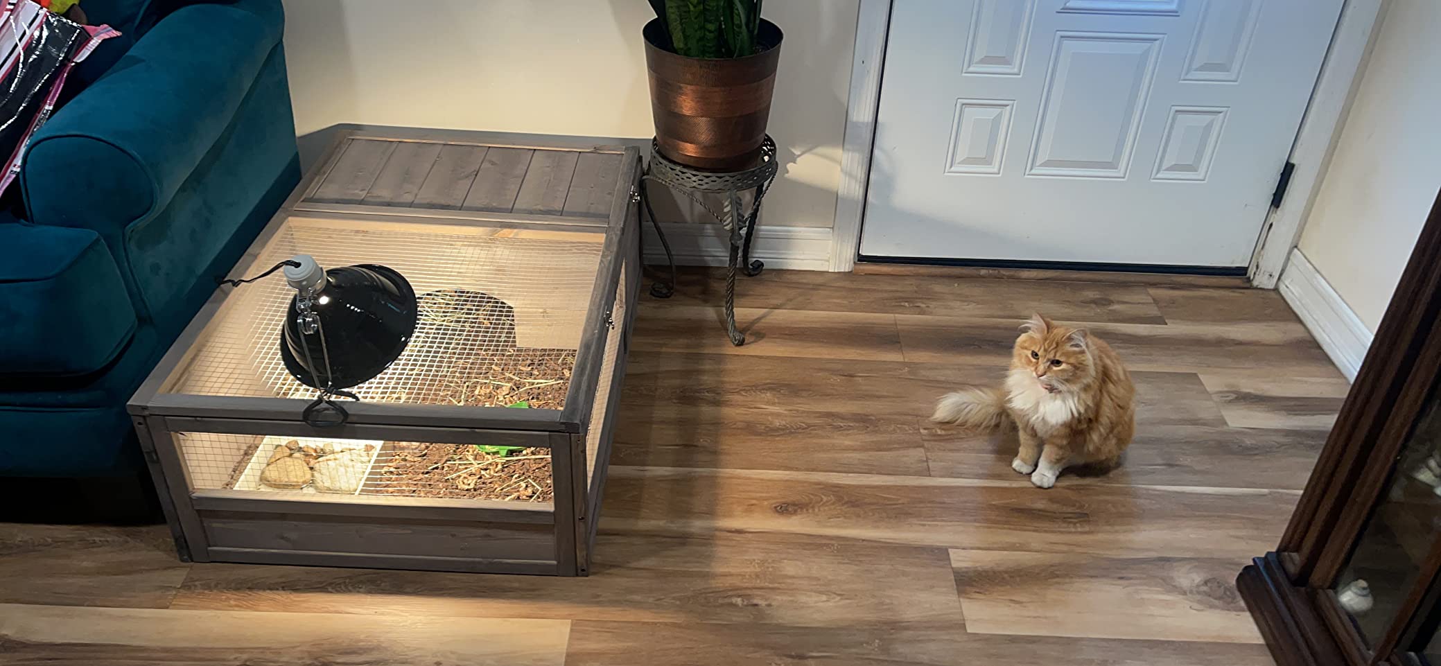 MoNiBloom Wooden Tortoise Habitat House Indoor/Outdoor Enclosure, Home Small Animal Breeding Box Amphibians Enclosure Cage Reptile for Gecko Lizard Snake 37 x 25.5 12 in, Grey (A41-HUT-011-GY) customer photo 1