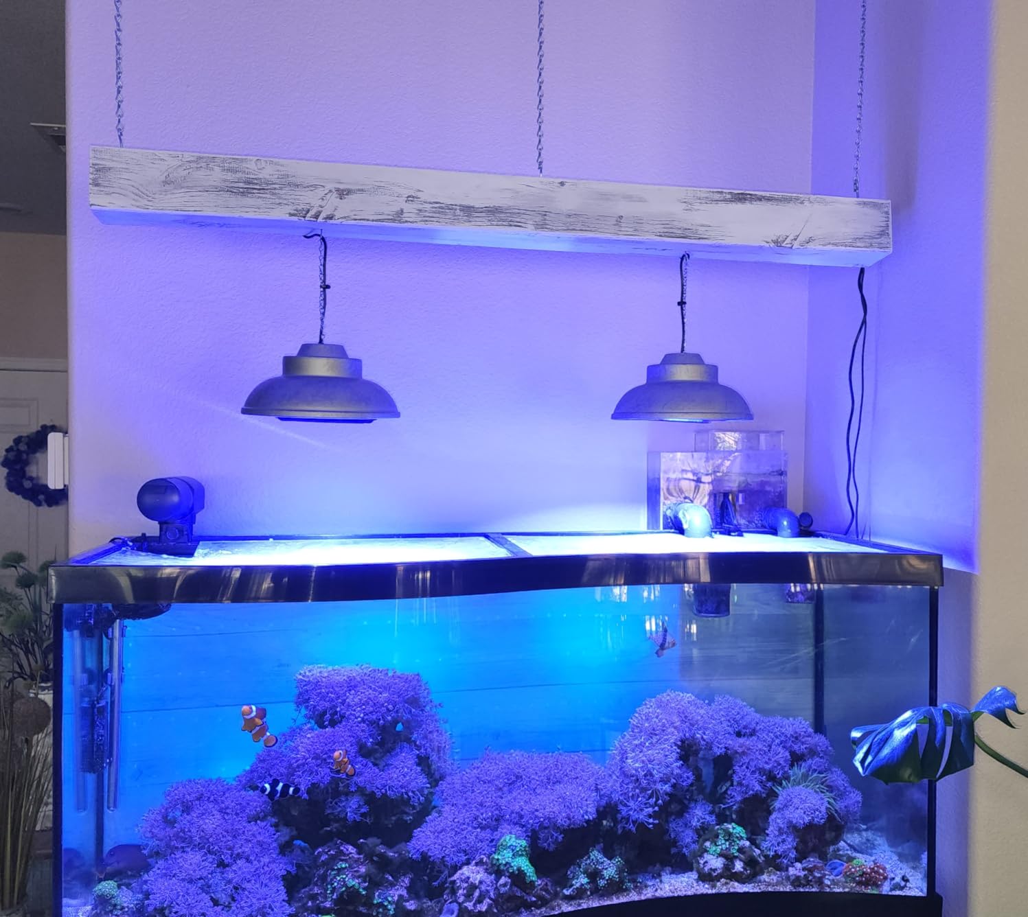 60W LED Reef Light for Saltwater Aquariums Programmable Control customer photo 2