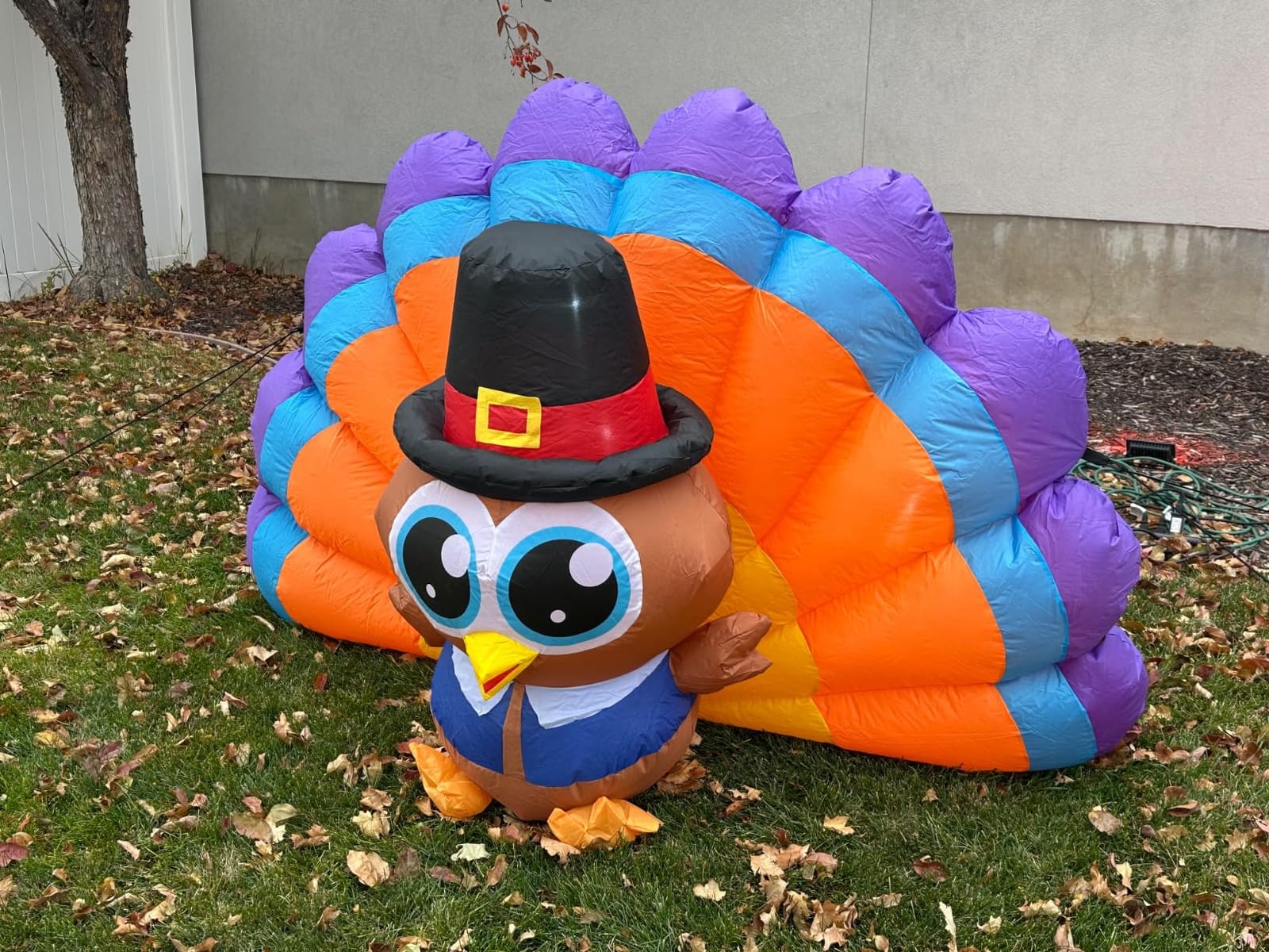 6FT Thanksgiving Inflatables Outdoor Decoration Inflatable Turkey, Built in LED Lights Blow Up Yard Decorations for Fall Holiday Party Garden Lawn Décor customer photo 2