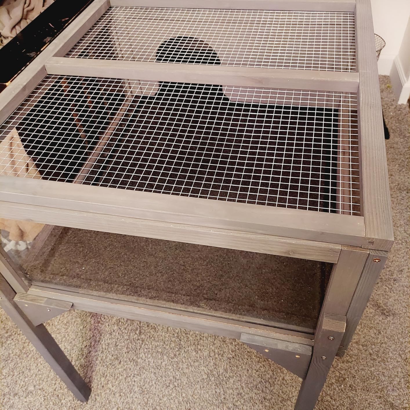 GEGURI Tortoise Habitat Indoor & Outdoor, Wooden Tortoise House with Detachable Legs, Reptile Cage for Small Animals customer photo 2