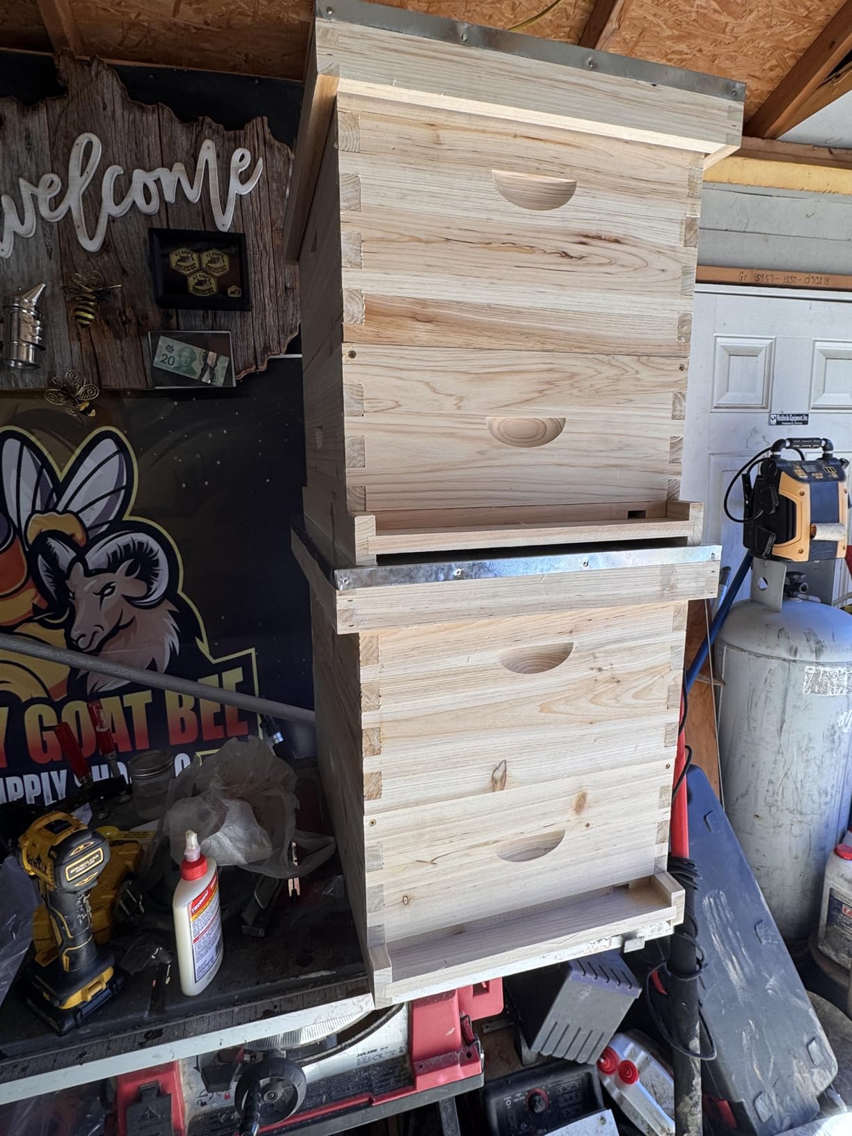 POLLIBEE 10-Frame Bee Hives and Complete Starter Kit, Bee Hives Boxes Includes 2 Deep Bee Box 2 Medium Bee Hive Box with Beehive Frames and Beeswax Coated Foundation Sheets(4 Layers) customer photo 1