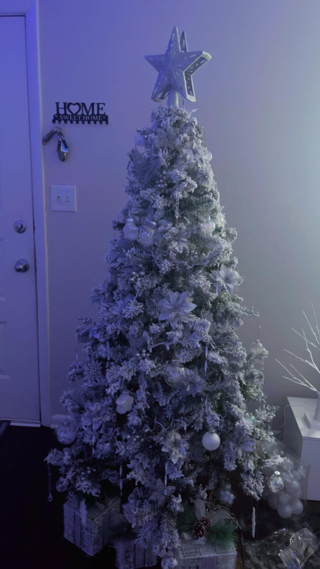 SHareconn 100PCS Christmas Tree Ornaments Clear Set, Champagne customer photo 1