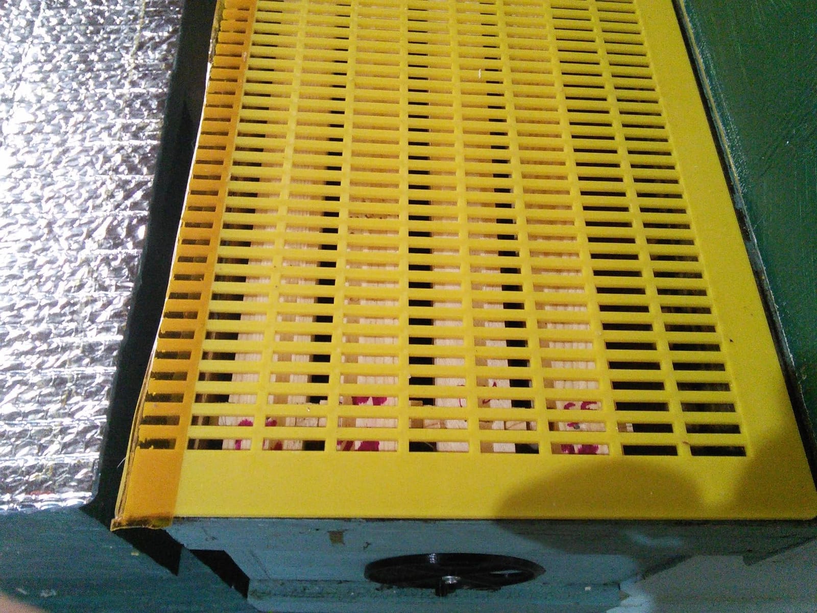 Rtteri 10 Pcs 10 Frame Plastic Queen Excluder Queen Bee Excluder for Bee Hive Beekeeping, Separating Queen Bees from Honey, Beekeepers Looking to Harvest Honey (Yellow,10 Frame) customer photo 1