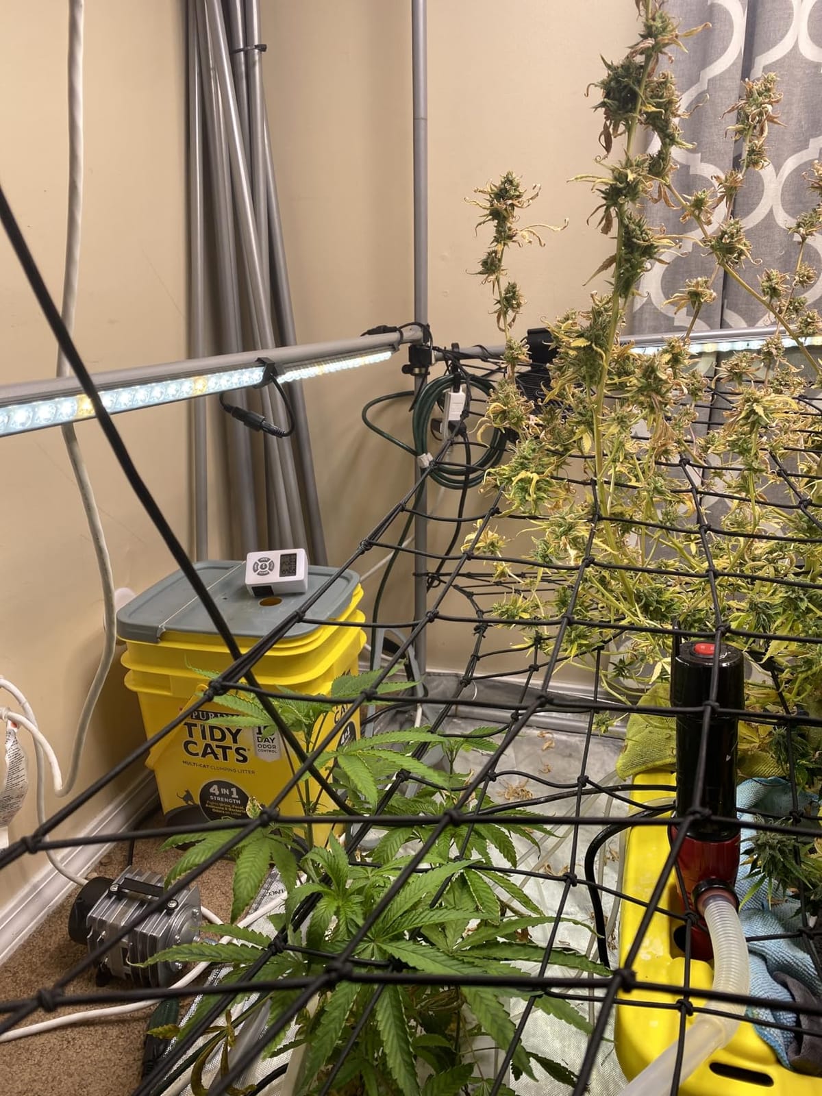AC Infinity IONBEAM S16, Full Spectrum LED Grow Light Bars 16” customer photo 2