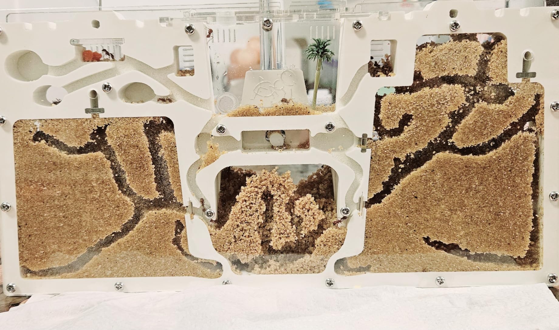 ELNMLHT Ant Farm Castle, Ant Farms with Yellow Sand and Tool Kit, Ant Colony Observation Kit, Ant Viewing Habitat Science Kit, Educational & Learning Science Kit for Kids, Adults, Student customer photo 2