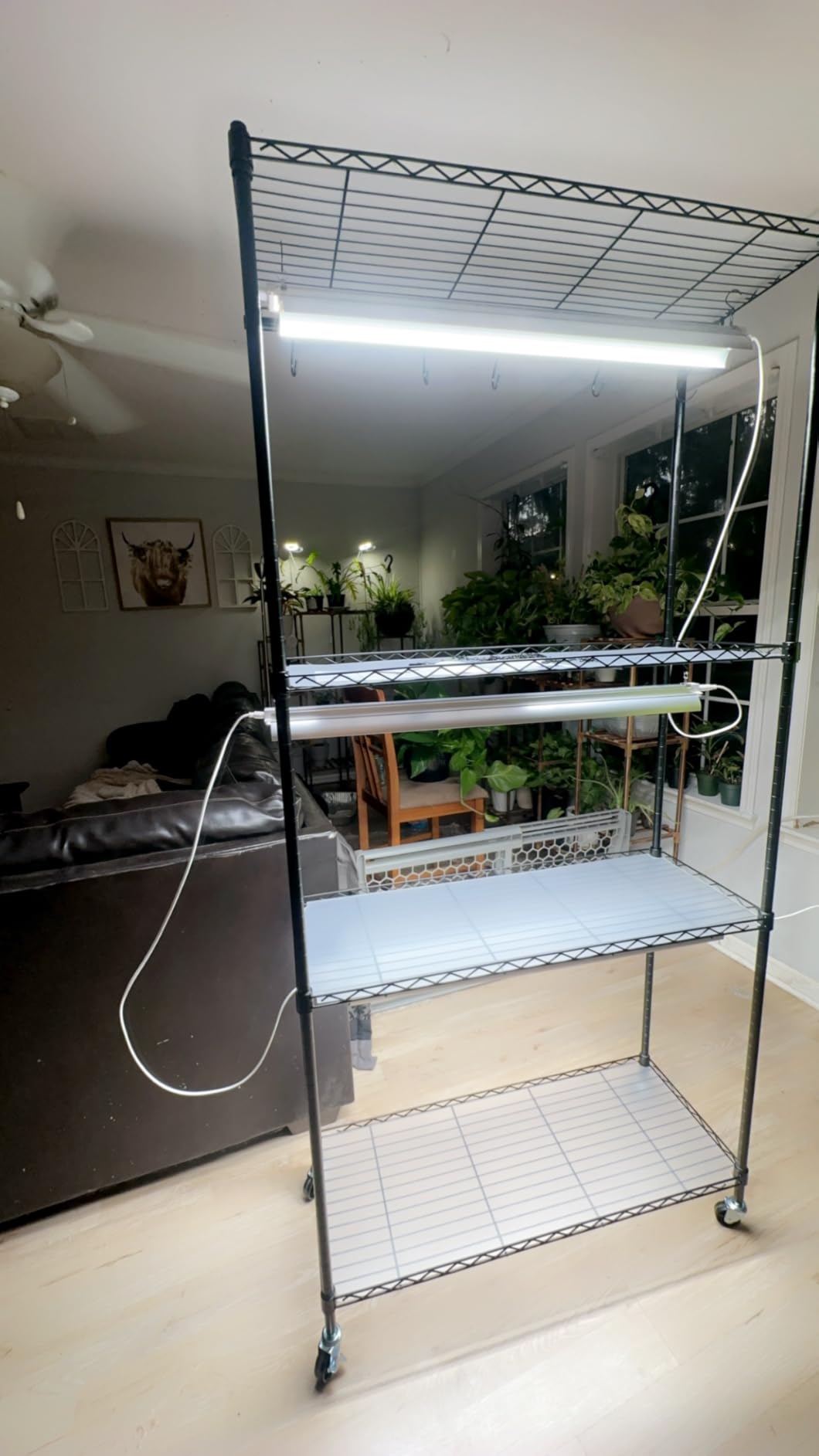 Barrina CX3 Plant Stand with Grow Light, 4-Tier, 108W, 35.4x13.8x70.9IN customer photo 1