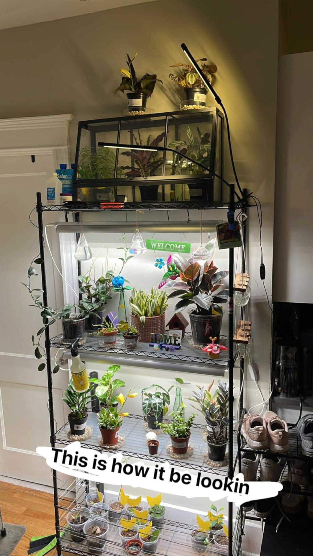 Barrina CX3 Plant Stand with Grow Light, 4-Tier, 108W, 35.4x13.8x70.9IN customer photo 2