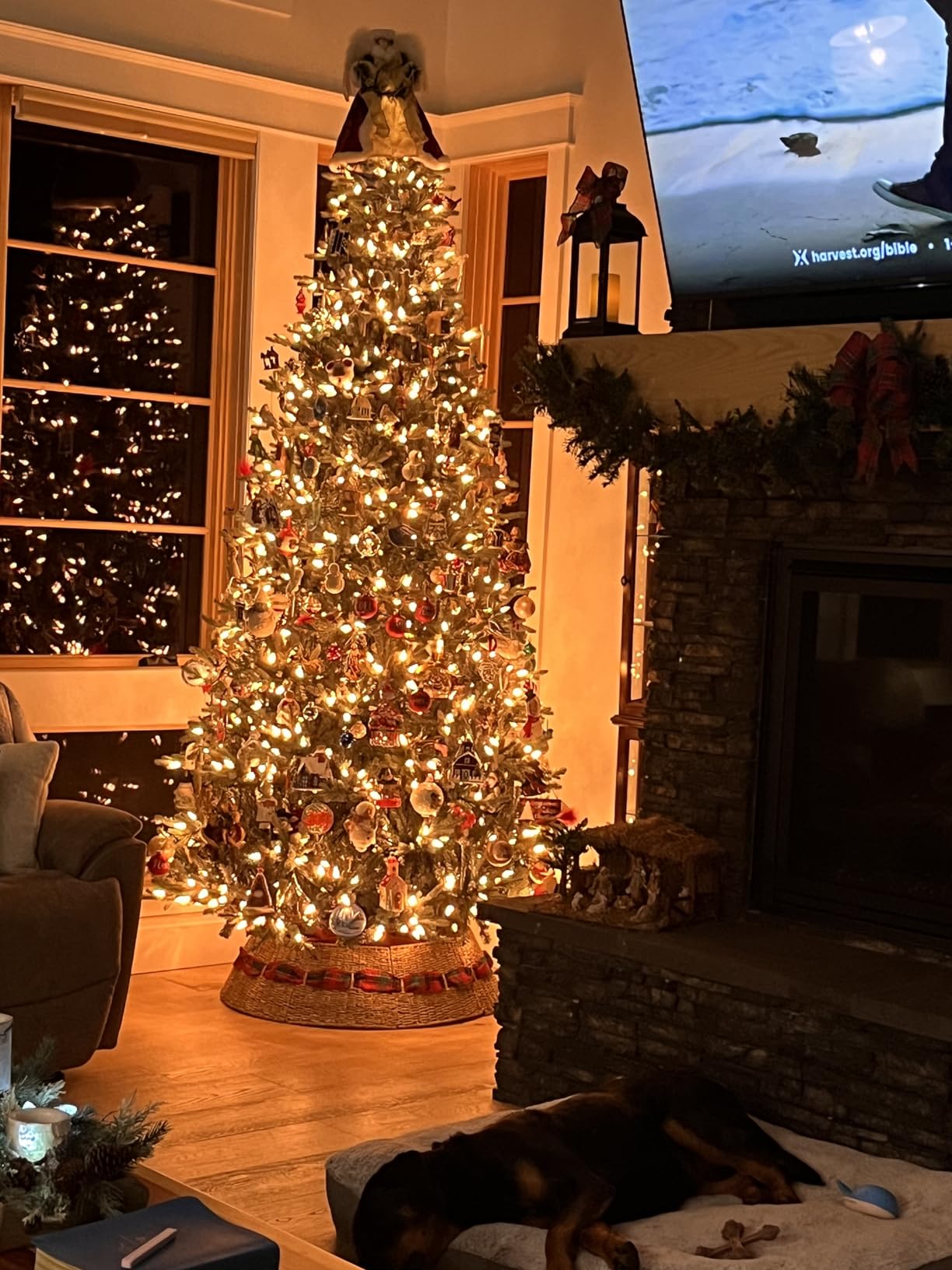 Rocinha Rattan Christmas Tree Collar Basket - Rustic Handcrafted Tree Ring customer photo 1