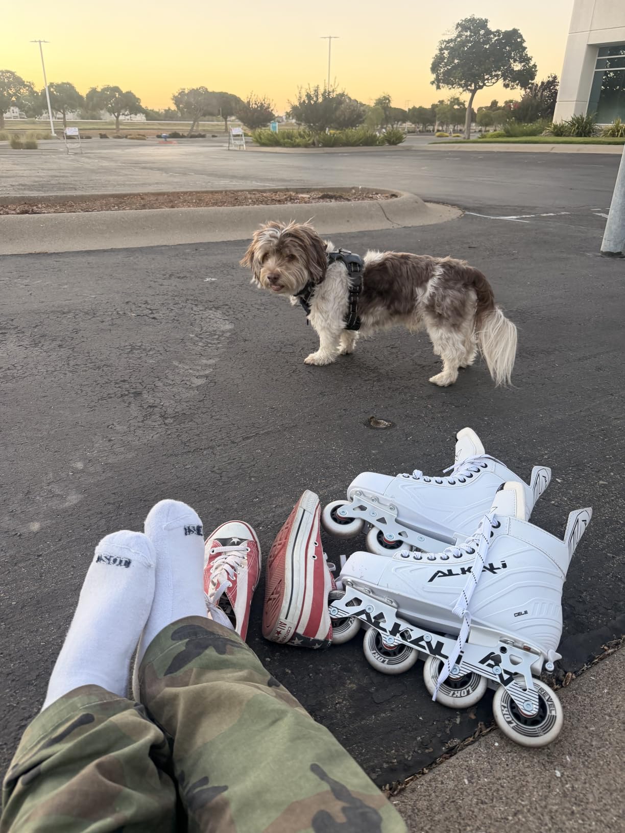 Alkali Cele Adjustable Senior Junior Youth Roller Inline Hockey Skates, New Model customer photo 1