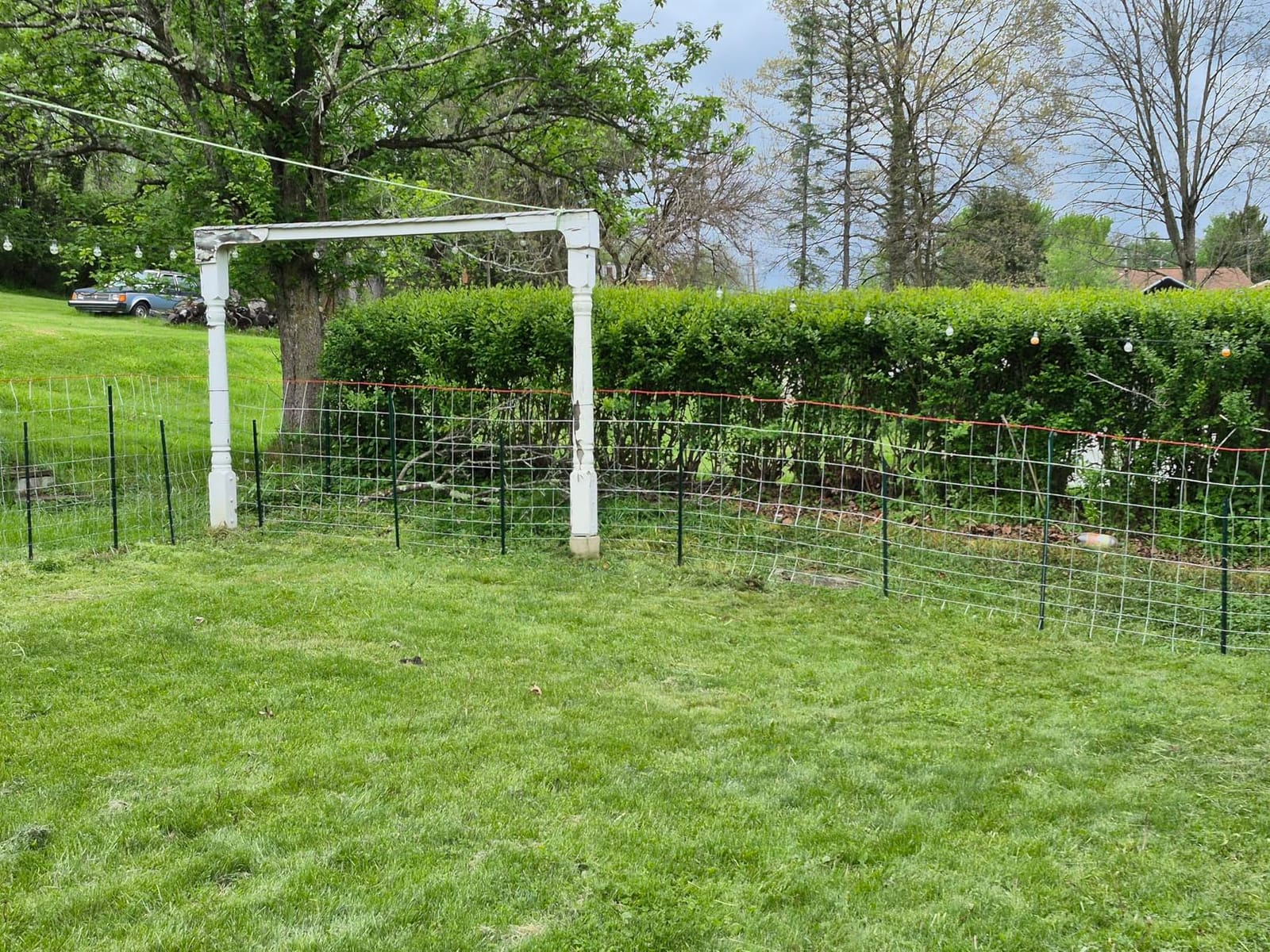 Cattle Fence 4ft x 164ft, Galvanized Farm Fence & Metal Wire Fencing customer photo 2