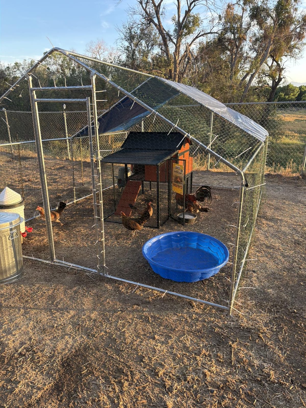 HITTITE Large Metal Chicken Coop with Run, 12.8 x 9.84 x 6.56 ft Walk in Poultry Cage Chicken Run Pen, Outdoor Chicken Runs for Yard with Waterproof & Anti-UV Cover customer photo 1